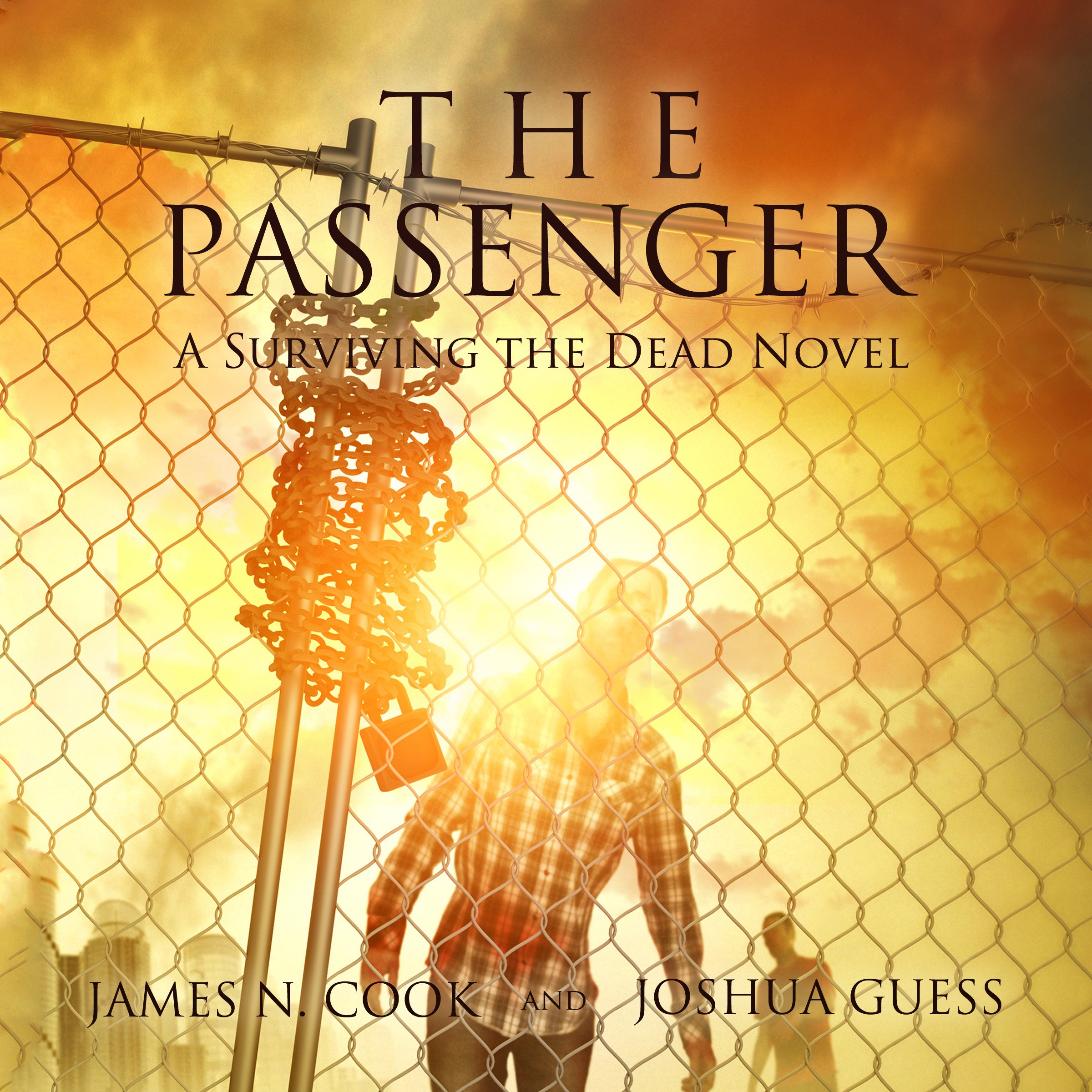 The Passenger