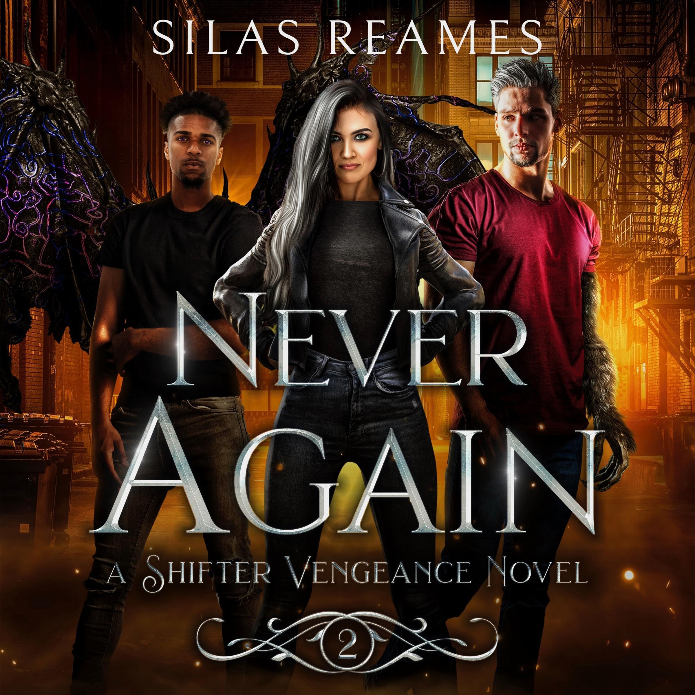 Cover art for Never Again