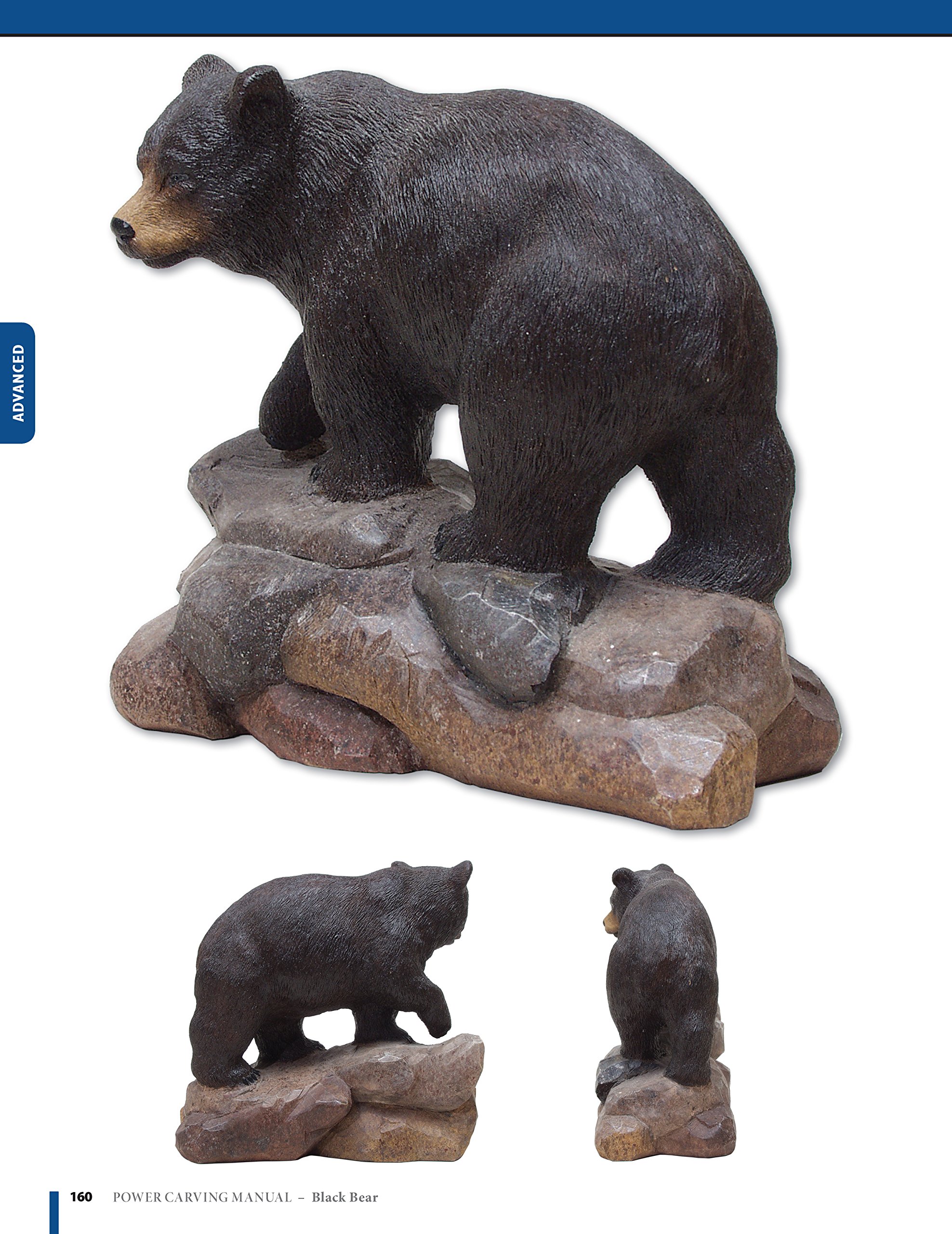 Power Carving Manual, Second Edition: Tools, Techniques, and 22 All-Time Favorite Projects (Fox Chapel Publishing) Step-by-Step Projects and Photos, Buyer's Guide, Expert Information, and Inspiration - Image 8