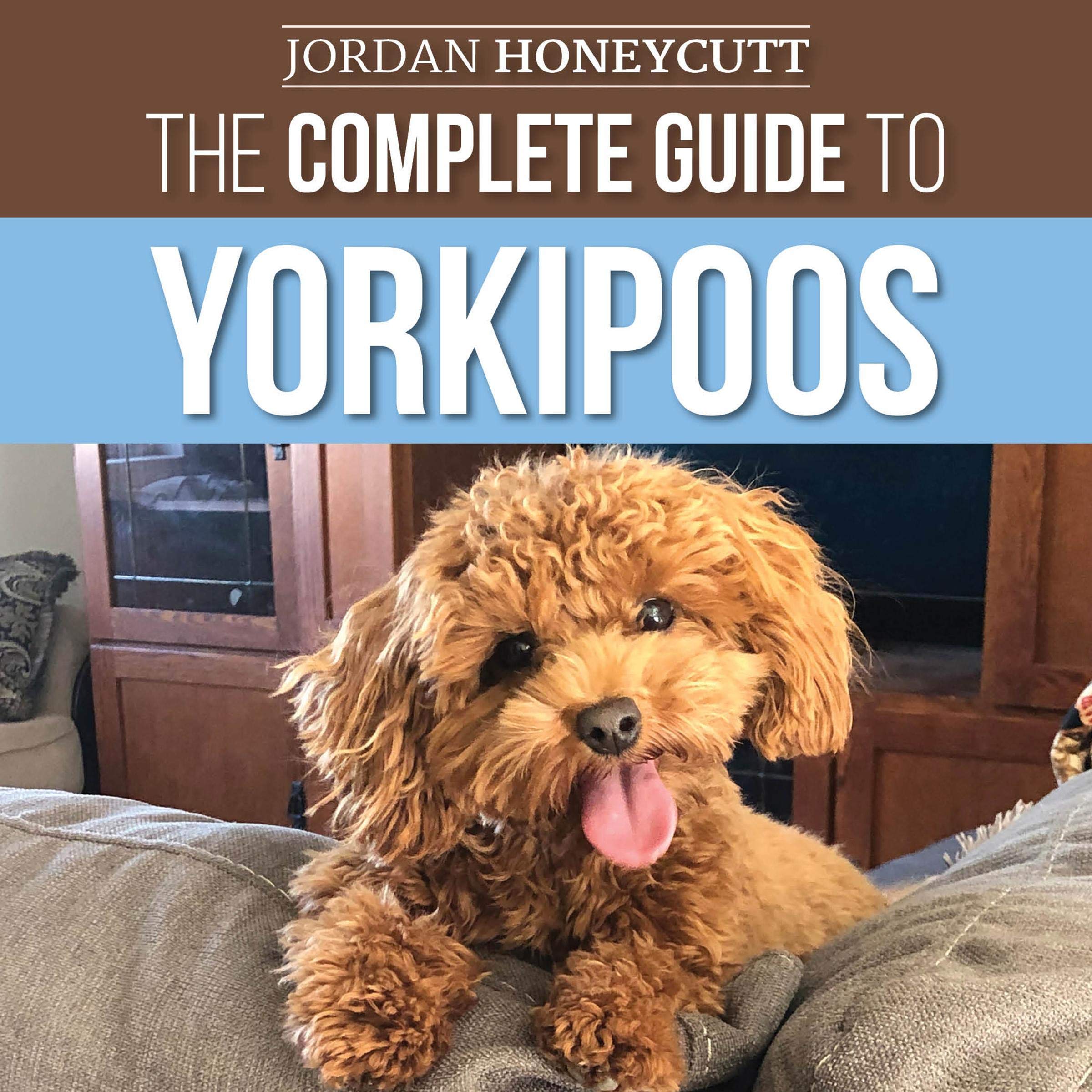 The Complete Guide to Yorkipoos