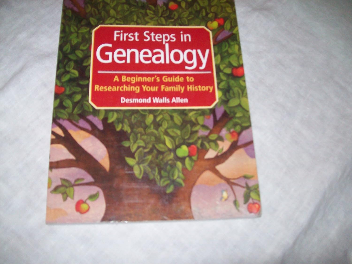 First Steps in Genealogy: A Beginner’s Guide to Researching Your Family History