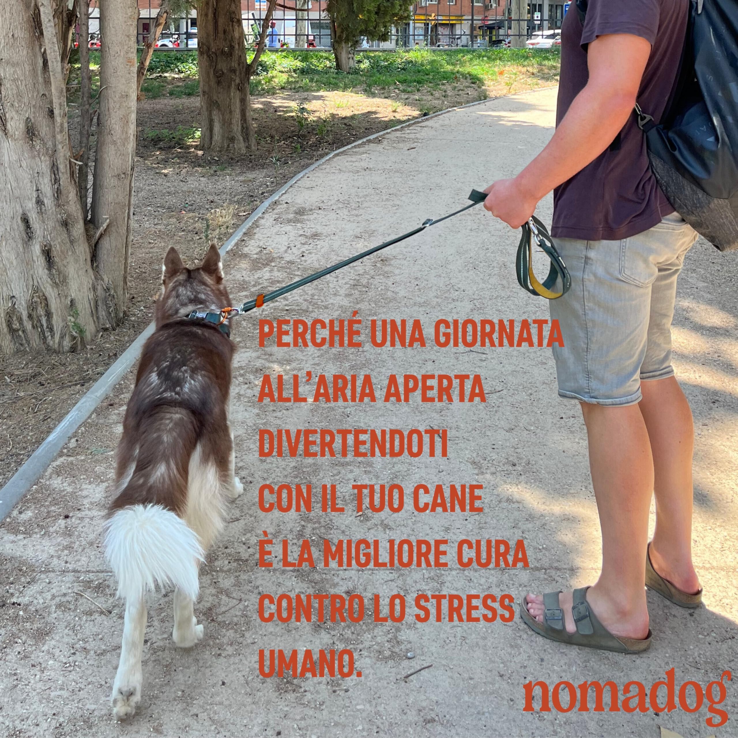 Nomadog Trailblazer Guinzaglio per Cani Multifunzionale 6-in-1 - Guinzaglio Doppio Moschettone Girevole a 360° in Alluminio, Regolabile 1,4-2,4 m, Riflettente - Ideale per Escursioni