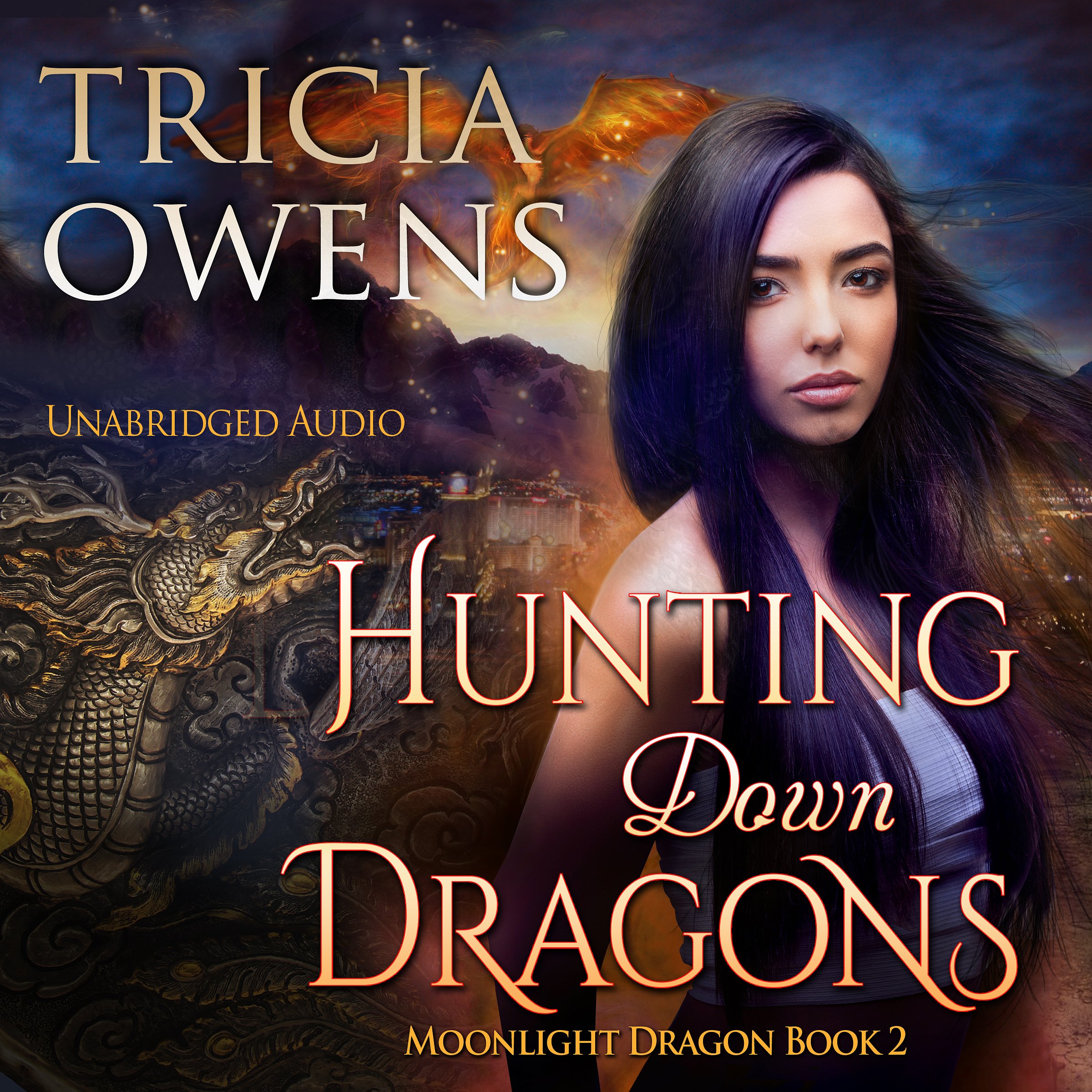 Cover art for Hunting Down Dragons