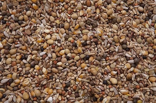 Miniatura 2 de Squab Builder - Mezcla de palomas (18%) 8 libras