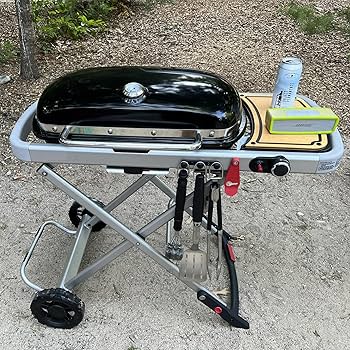 91wZ-BMrKRL._AC_UF350,