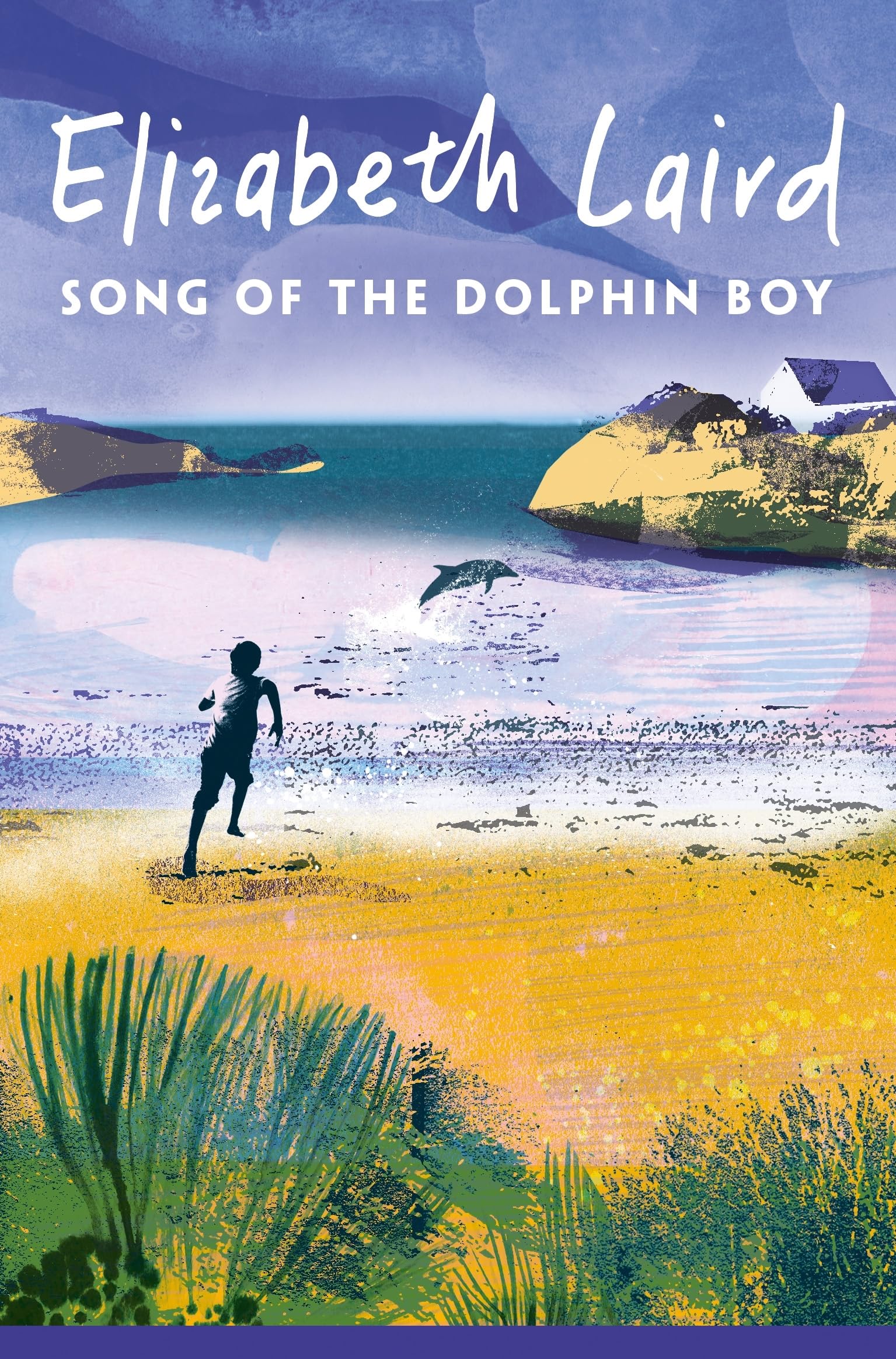 Song of the Dolphin Boy by Elizabeth Laird PAPERBACK 9781035034710