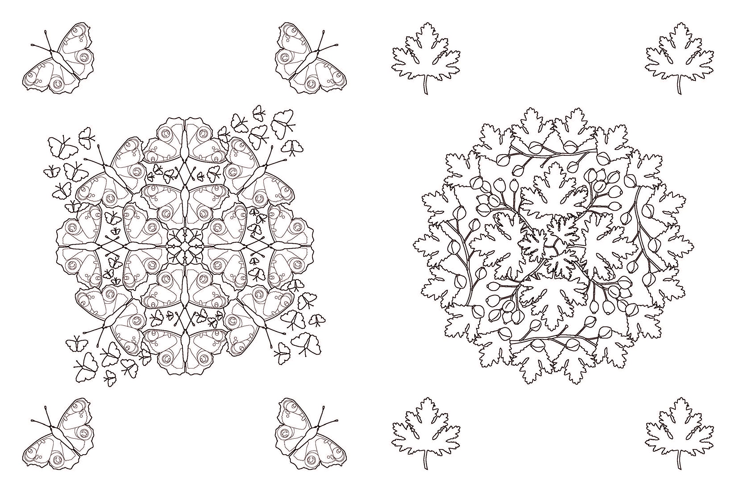 Relax Art - Mandalas - Zauber der Symmetrie: Malen & entspannen