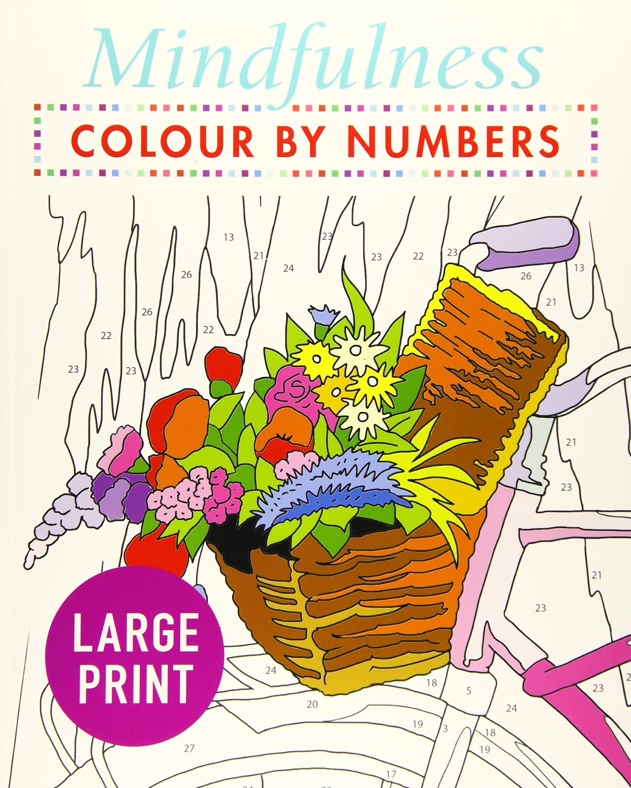 Mindfulness Colour-by-Numbers Large Print (Arcturus Large Print Colour by  Numbers Collection, 2): Amazon.co.uk: Arcturus Publishing: 9781789500486:  Books