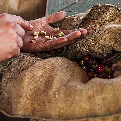 Miniatura 10 de Granja fresca café 100% Kona - tostado oscuro - granos enteros arábica - bolsa de 8 onzas - Blue Horse 100% Kona café de Hawaii