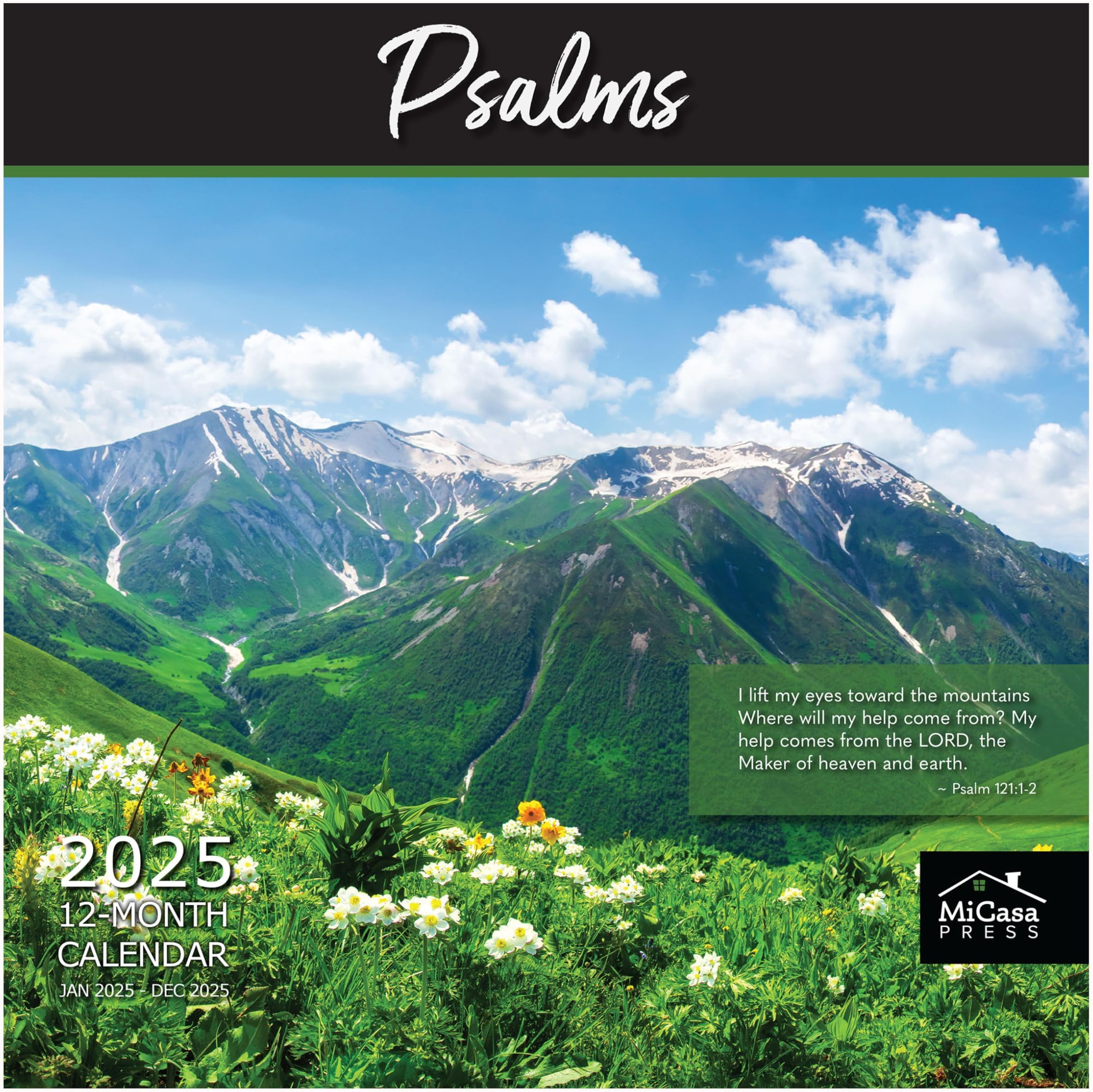 MICASA Psalms 2025 Wall Calendar 12 Month 12" x 24" Open