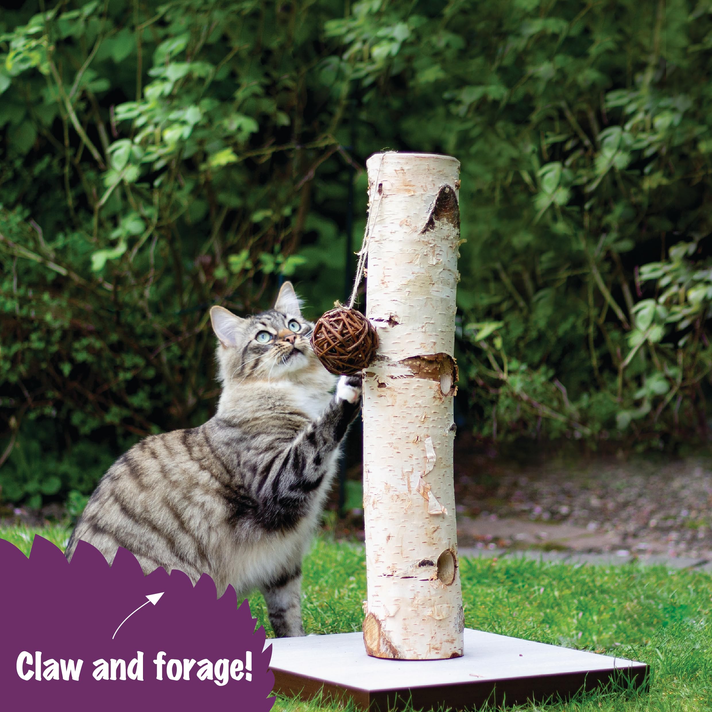 Rosewood Naturals Árbol de Actividades con Mini Bolas de Hierba gatera y Palos, Juguetes para gatos, 38 x 58 cm