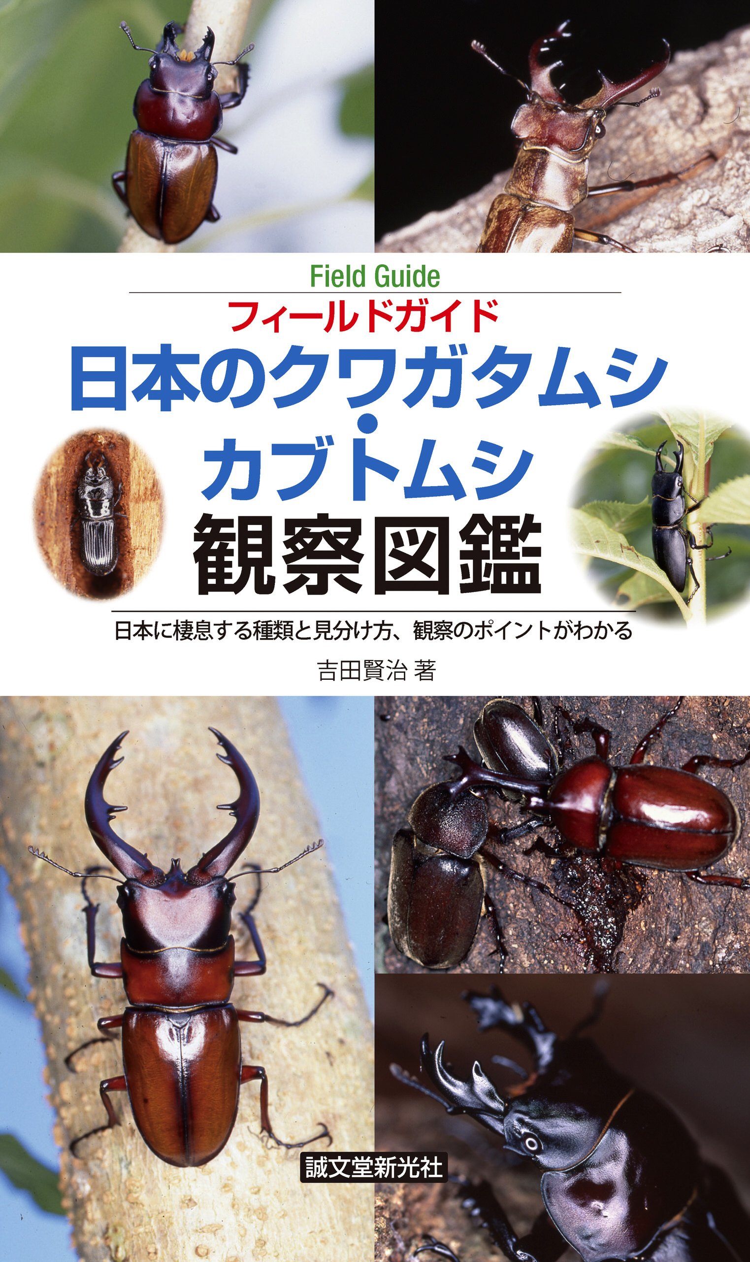 Amazon.co.jp: 吉田 賢治: 本、バイオグラフィー、最新アップデート