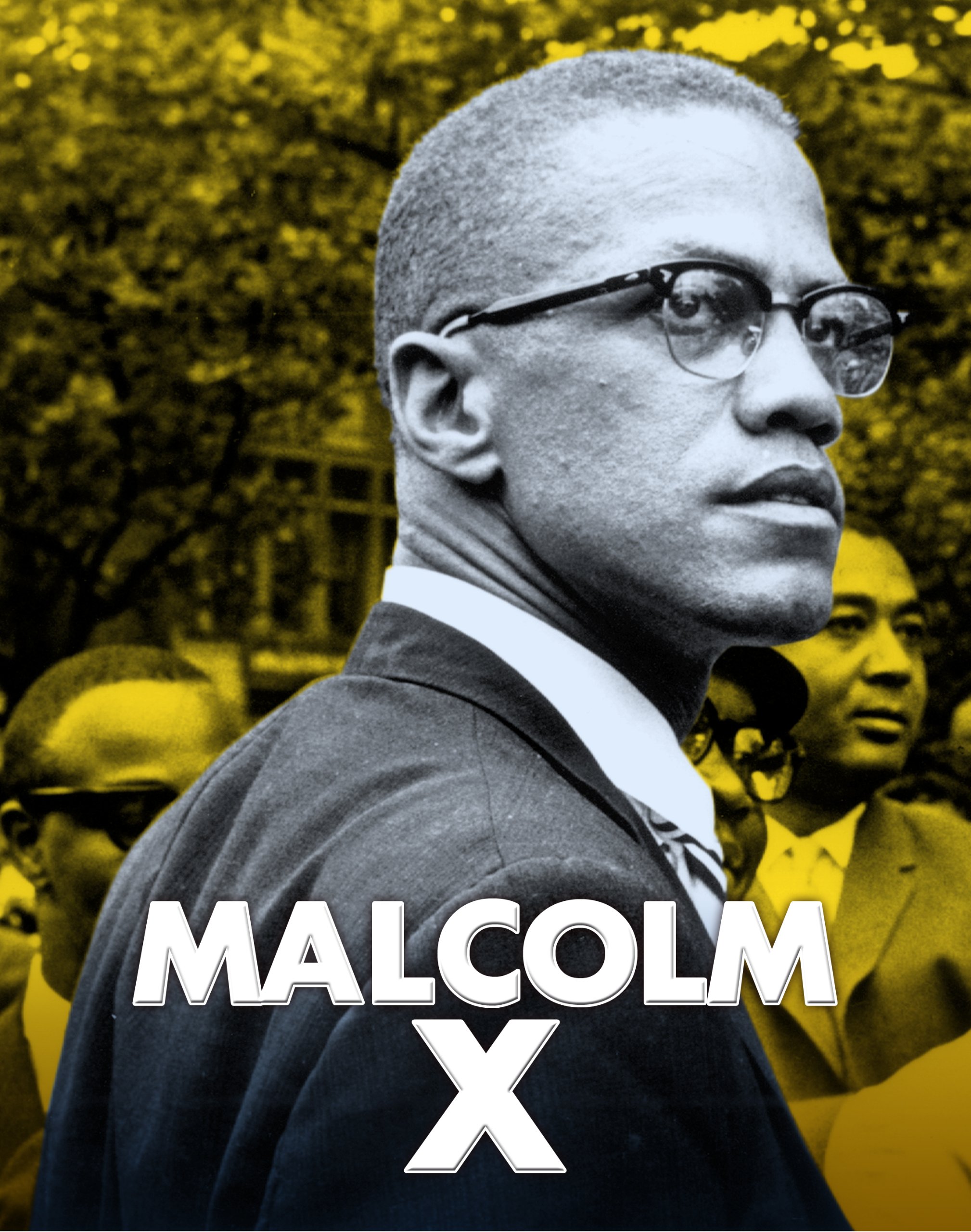 Buy Malcolm X (American Biographies) — BookShops.in