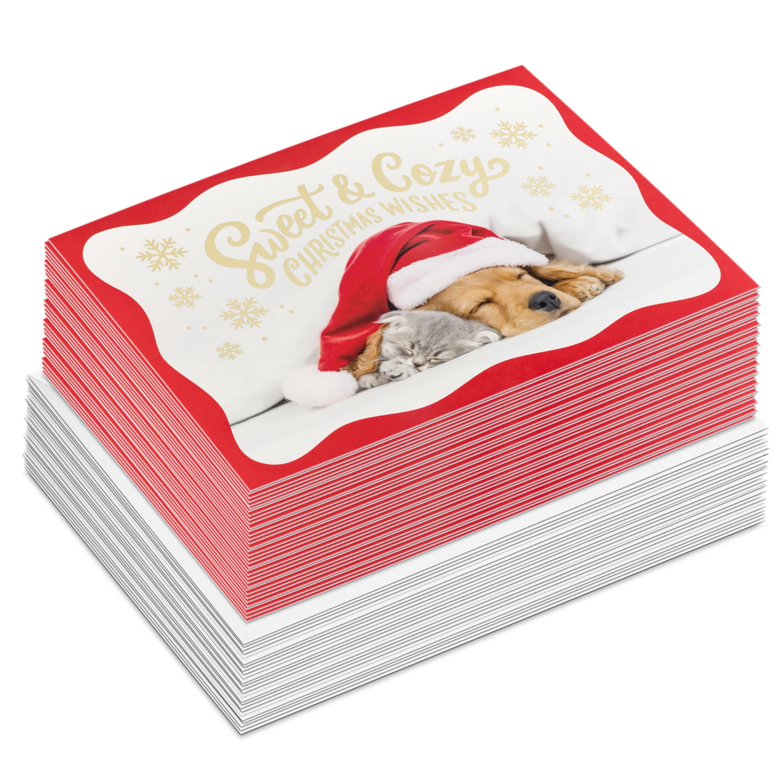 Hallmark Tarjetas de Navidad, paquete de 40 (dulce y acogedor, cachorro, gatito)