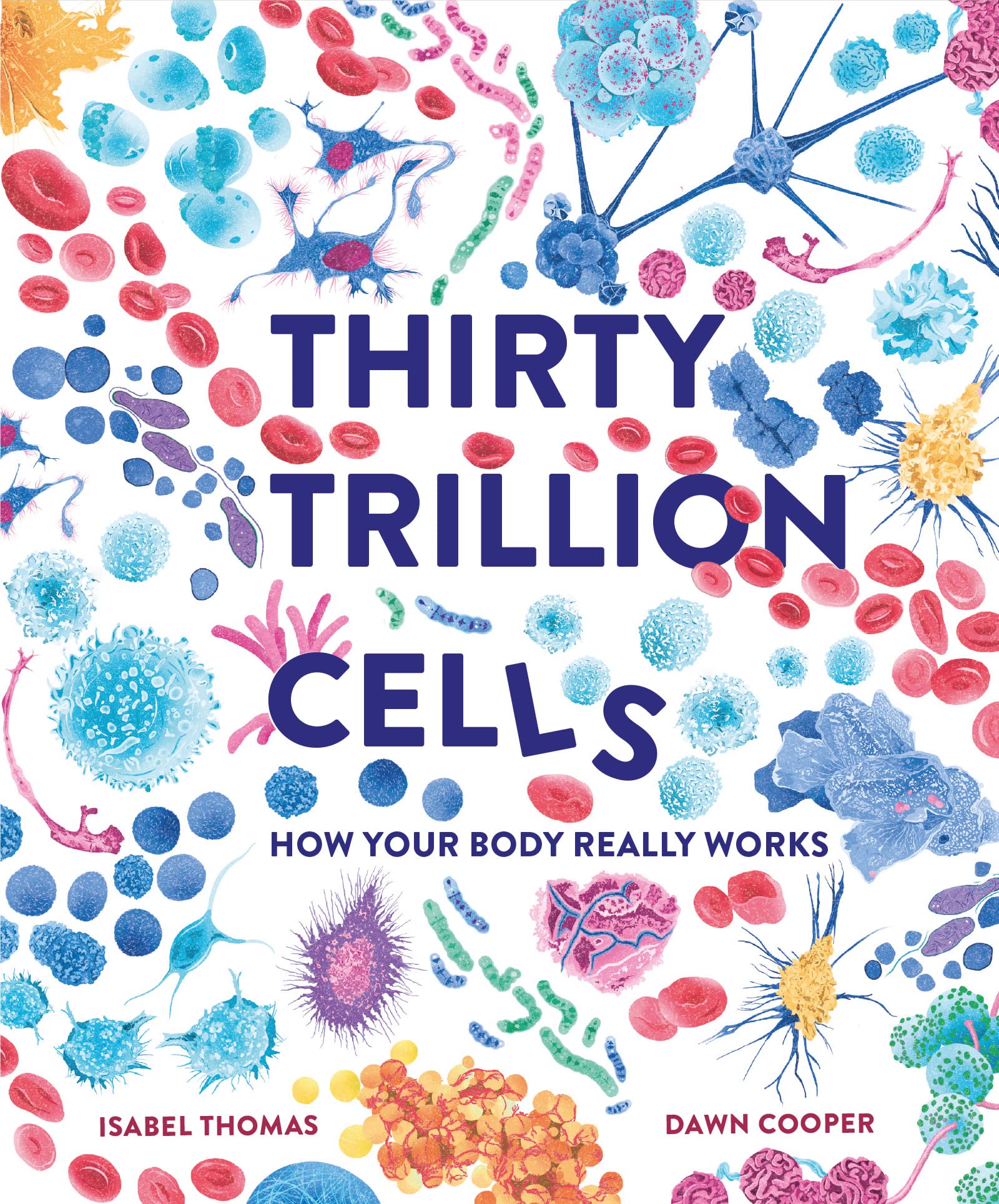 Thirty Trillion Cells How Your Body Really Works