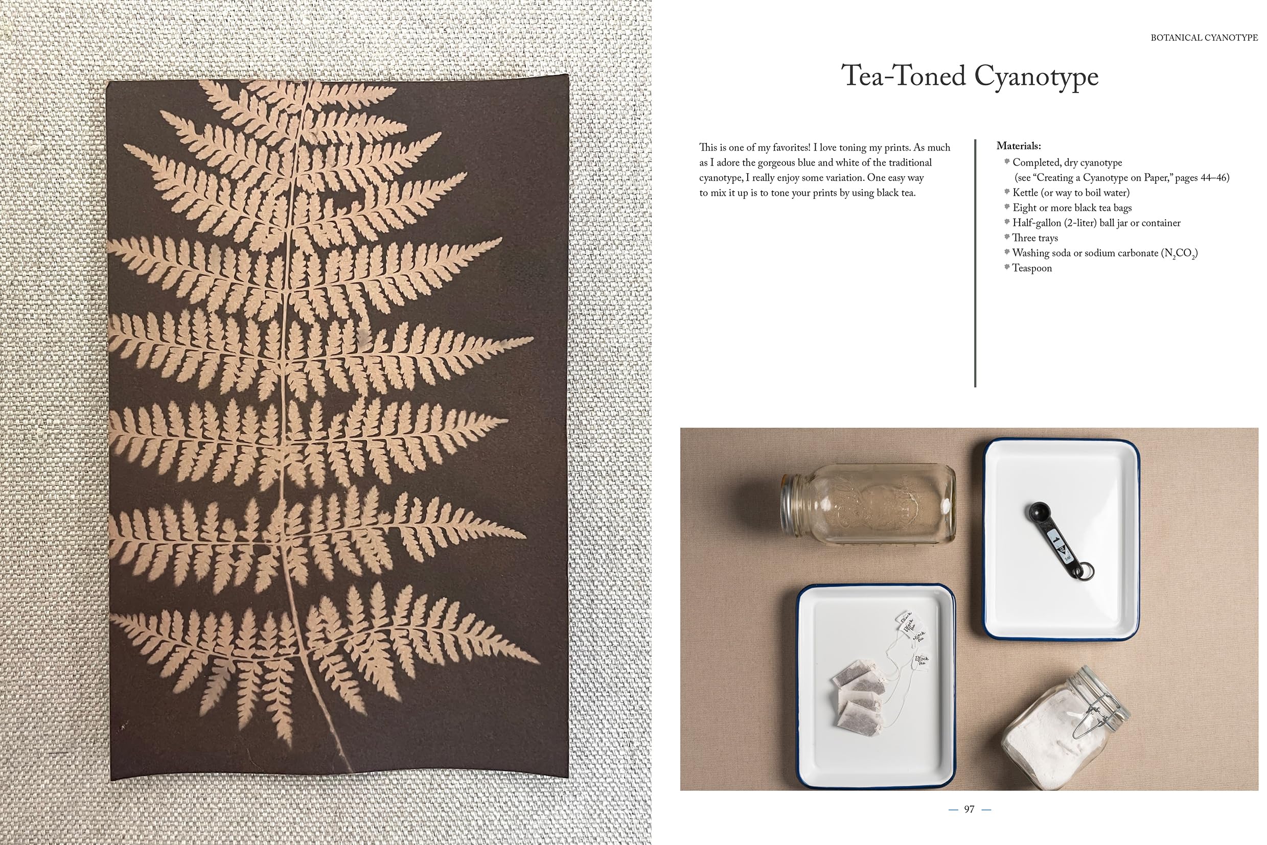 Botanical Cyanotype: A Guide to the Art of Sun Printing