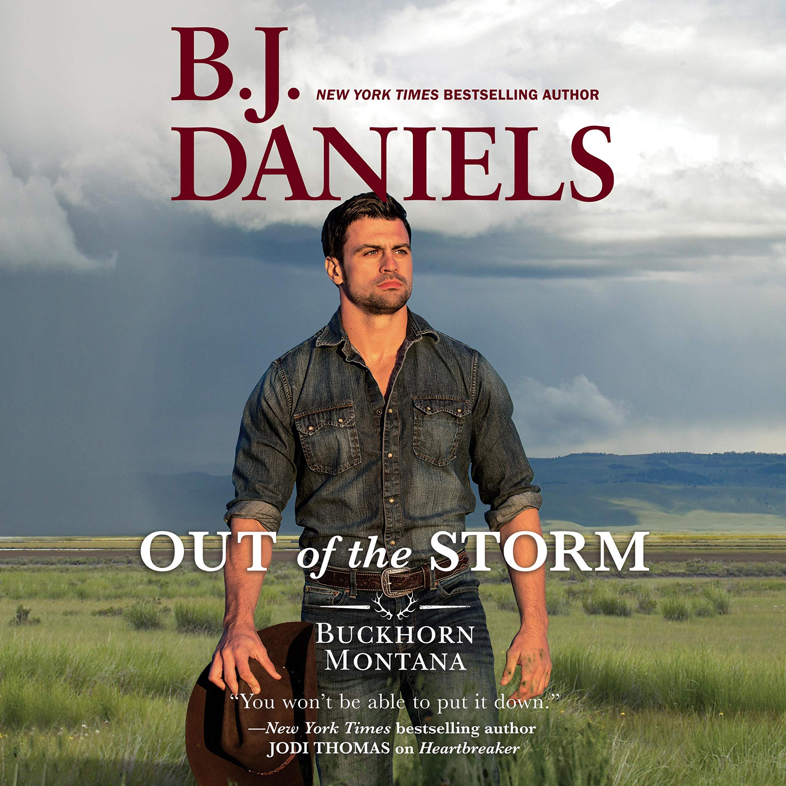 Cover art for Out of the Storm