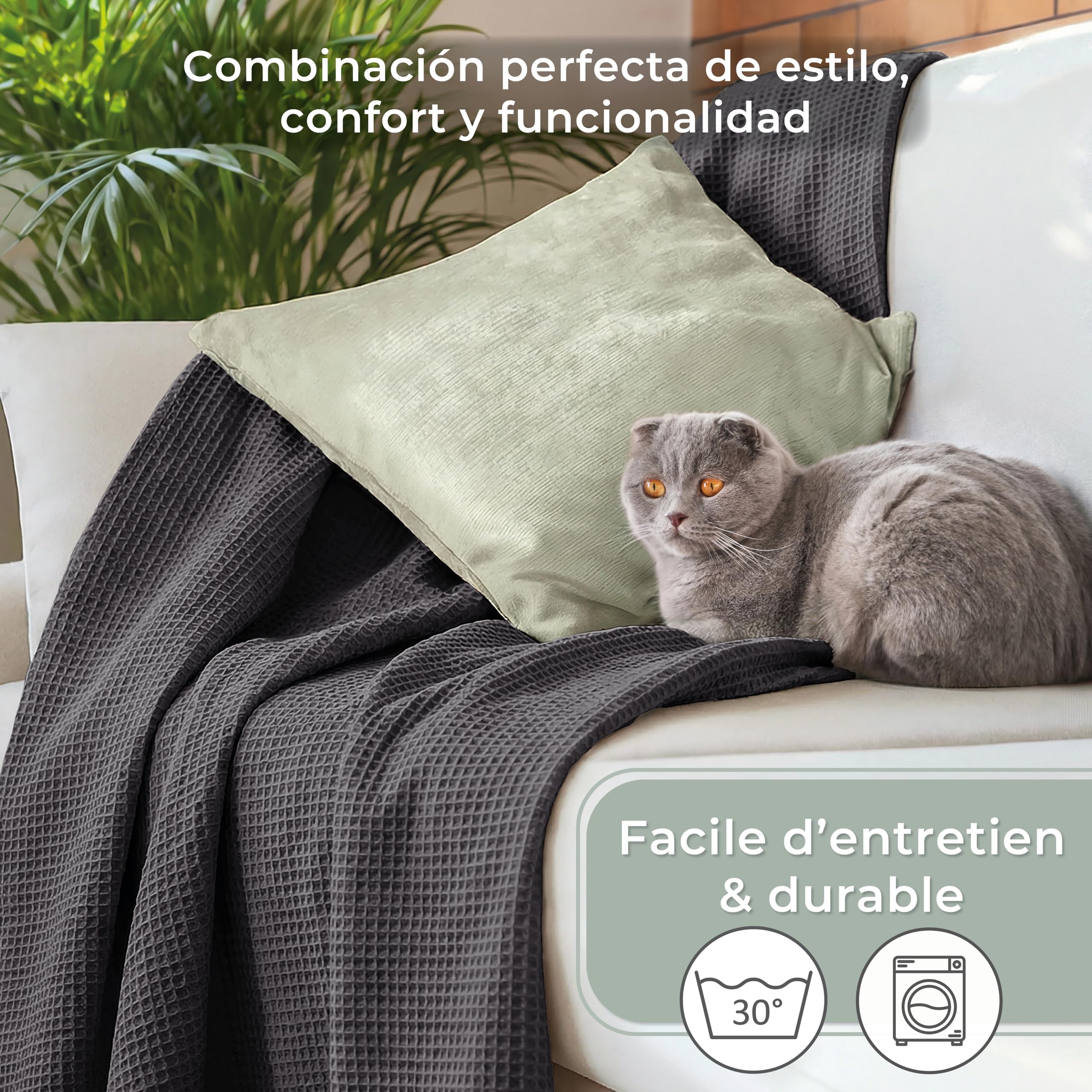LAYNENBURG Manta para Sofá Verano 150 x 200 cm - Waffle Pique 100% Algodón - cocha Ligera de Verano - Manta de algodón como Manta de Cama, de sofá - Manta de sofá aireada (Antracita)