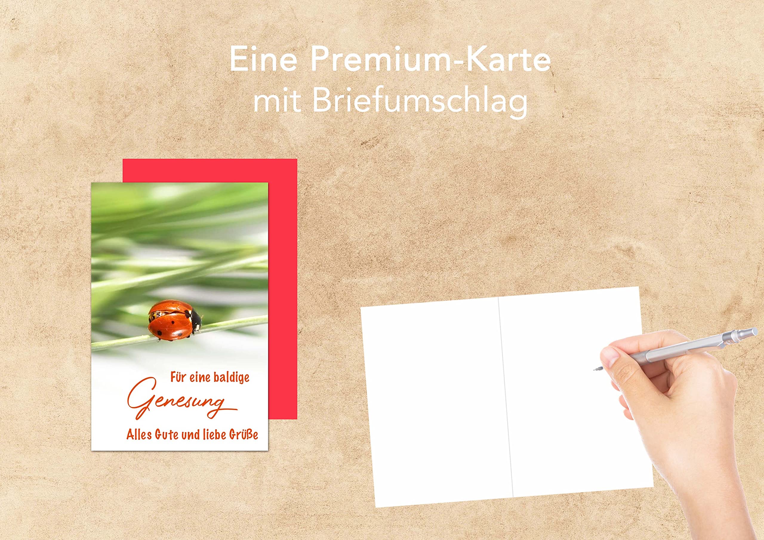 Edition Seidel SW022 Carte Exclusive De Qualité Supérieure Pour La