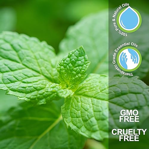 Miniatura 5 de Aceite esencial de lavanda roll-on  0.3 fl oz  100% natural, aceite de grado terapéutico para el cuidado de la piel, crecimiento del cabello y