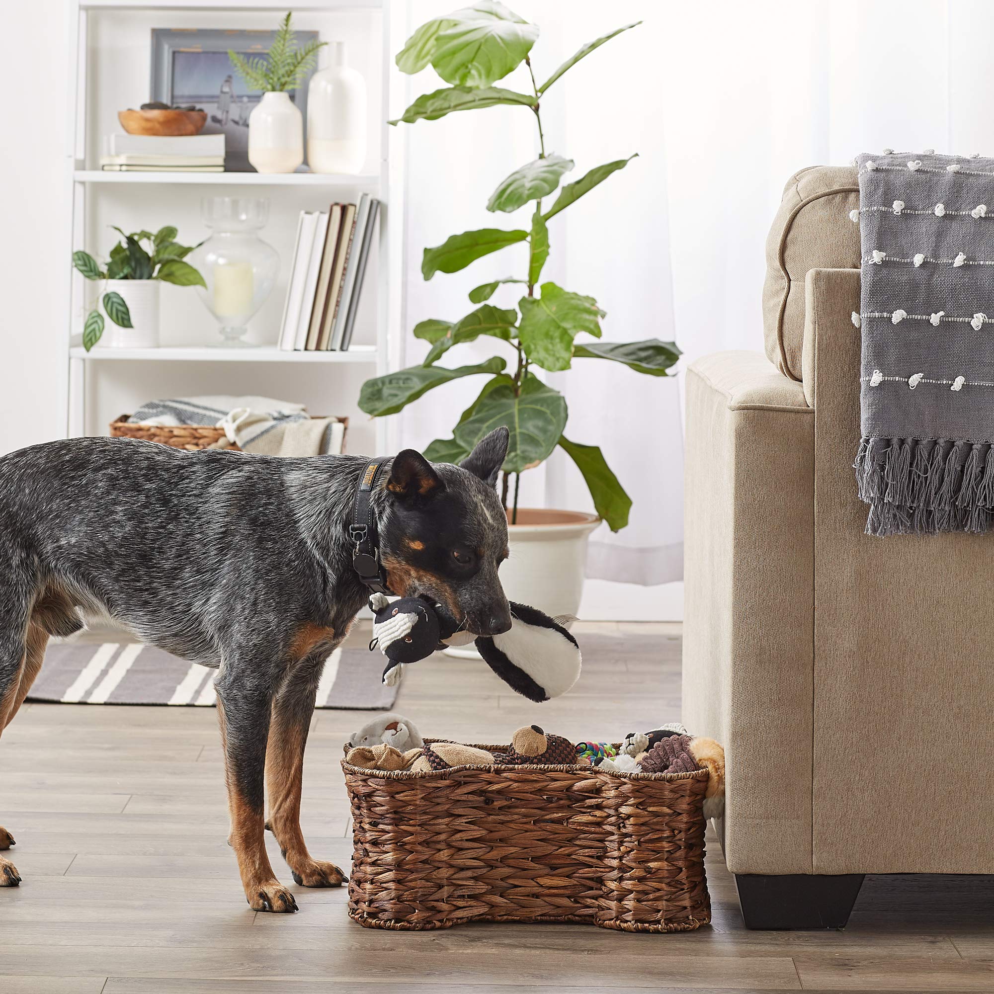 Bone Dry Pet Storage Collection - Cestino per giocattoli in giacinto, a forma di osso, naturale, piccolo Bone Dry Pet Storage Collection - Cestino per giocattoli in giacinto, a forma di osso, naturale, piccolo