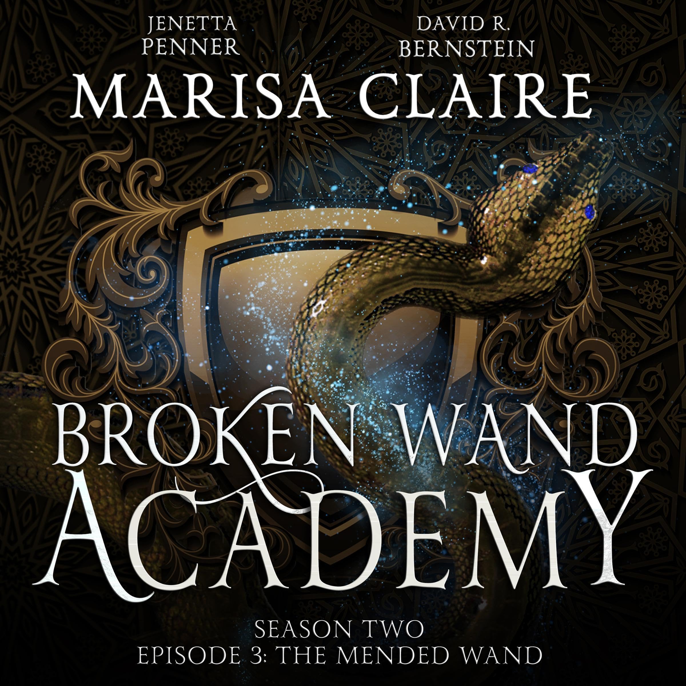 Cover art for Broken Wand Academy: Season 2 - Episode 3: The Mended Wand (Veiled World)