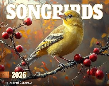 2026 Songbirds Wall Calendar 16-Month X-Large Size 14x22, Illustrated Bird Calendar by The KING Company-Monster Calendars