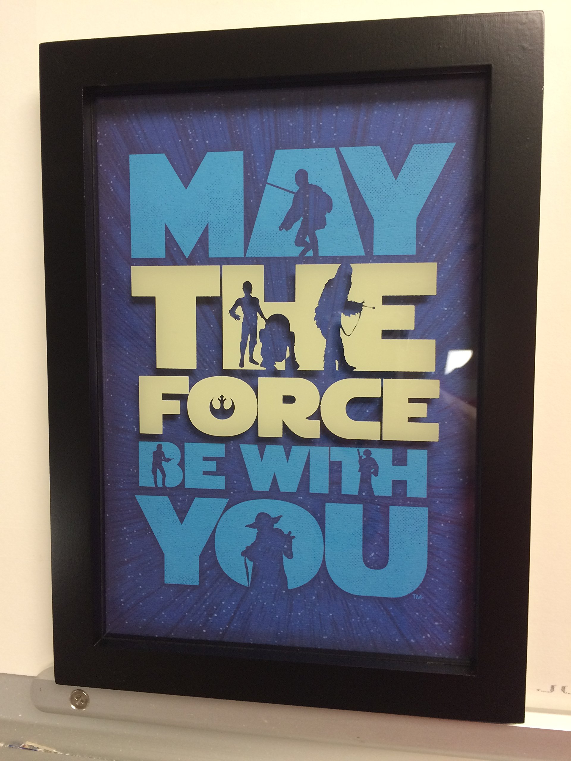 Hallmark Star Wars May The Force Be with You Frame