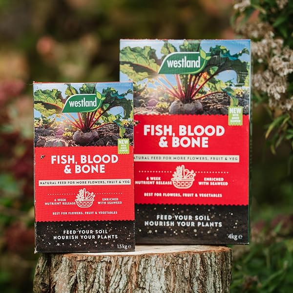 Westland Fish, Blood & Bone 1.5Kg - 5