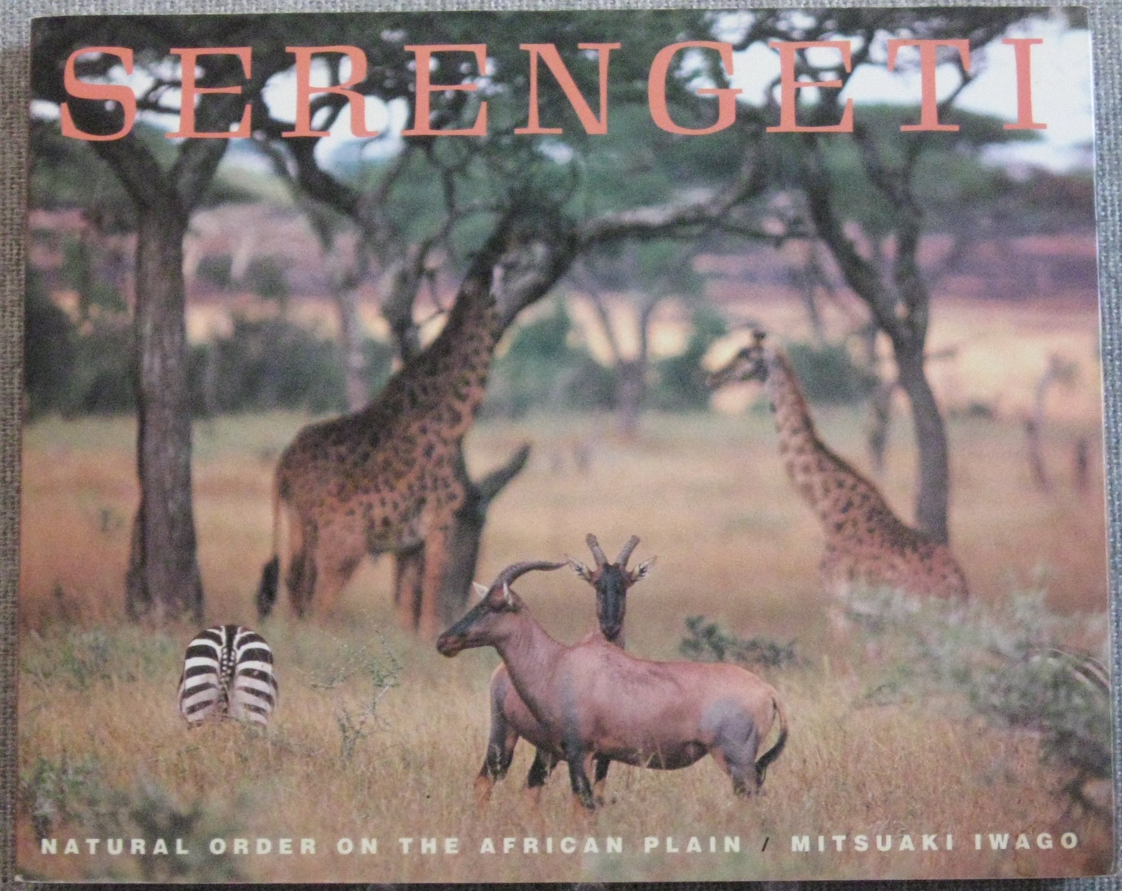 Amazon.com: Serengeti: Natural Order on the African Plain