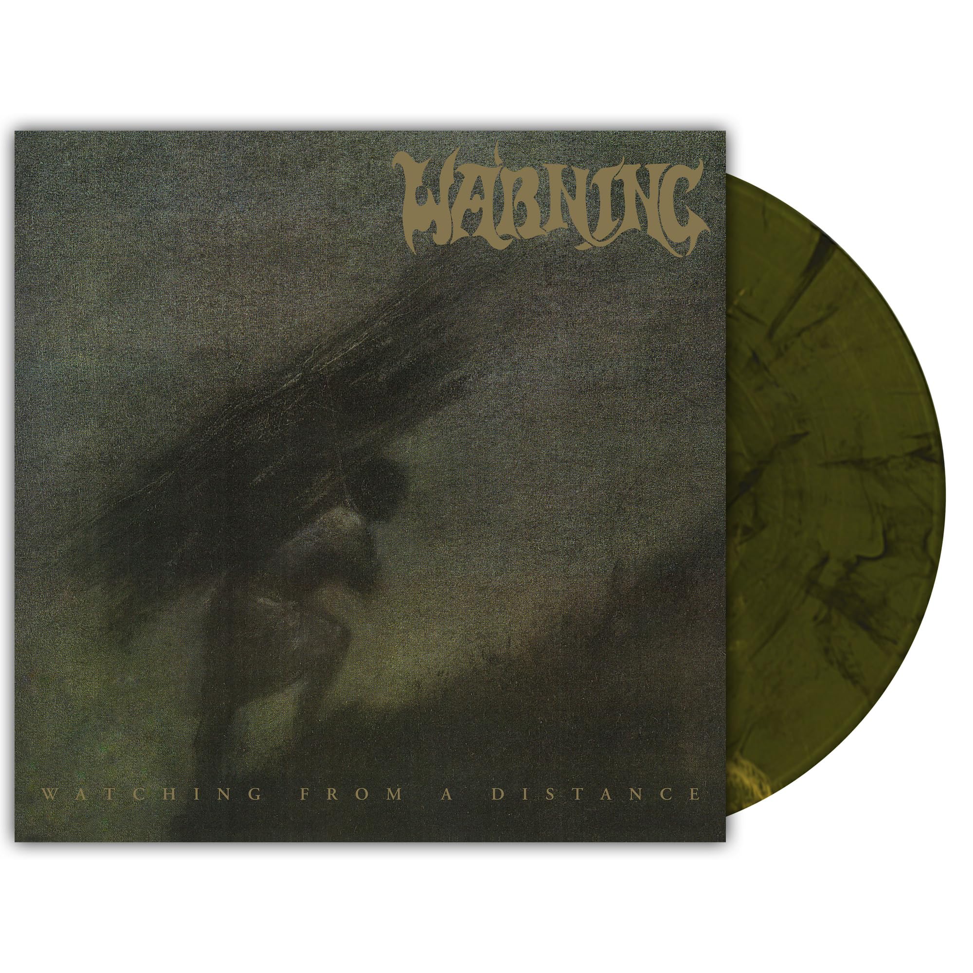 Warning 'Watching From A Distance' 2LP Labradorite Marble Vinyl  NEW SEALED