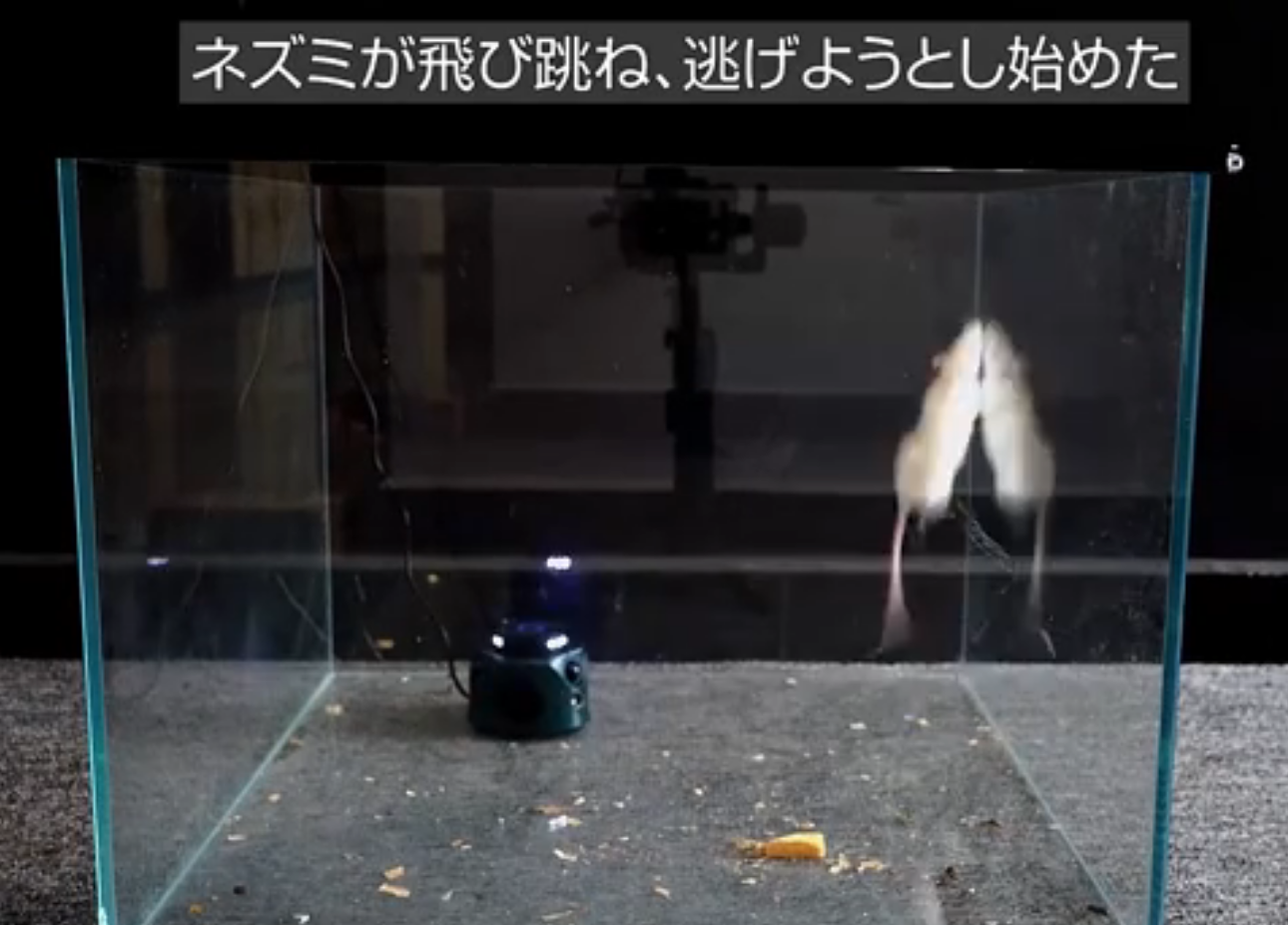 Amazon | 【日本国内販売限定】ネズミ 駆除 超音波 360度死角がない