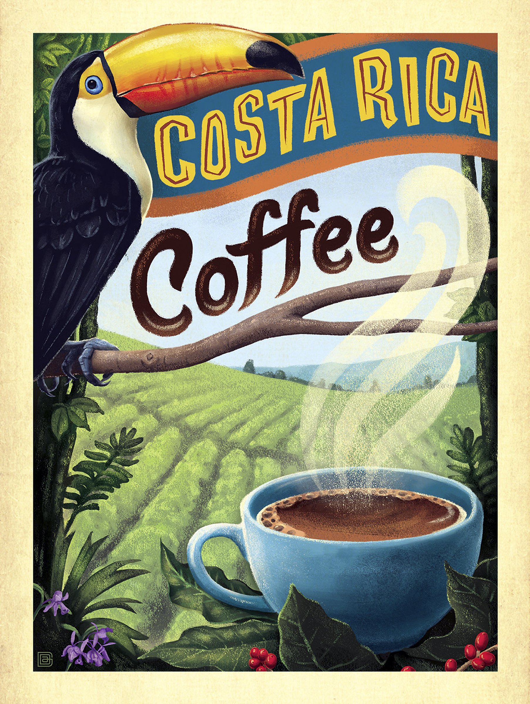 Shawprint COSTA RICA COFFEE RETRO METAL FRIDGE MAGNET 100MM X 75MM (1650F)