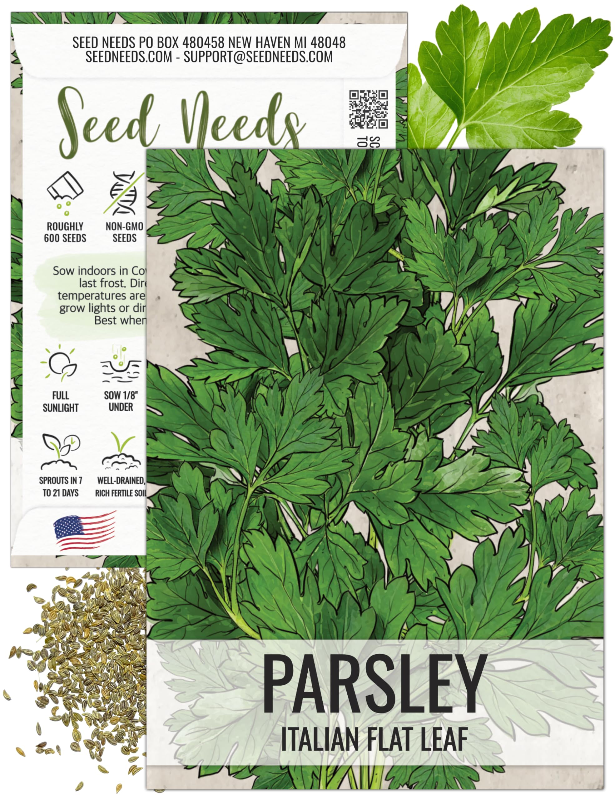 Seed Needs Italian Flat Leaf Parsley Seeds for Planting - Non-GMO, Heirloom & Untreated - Culinary Herbs to Grow a Home Grown Indoor/Outdoor Garden (1 Pack)