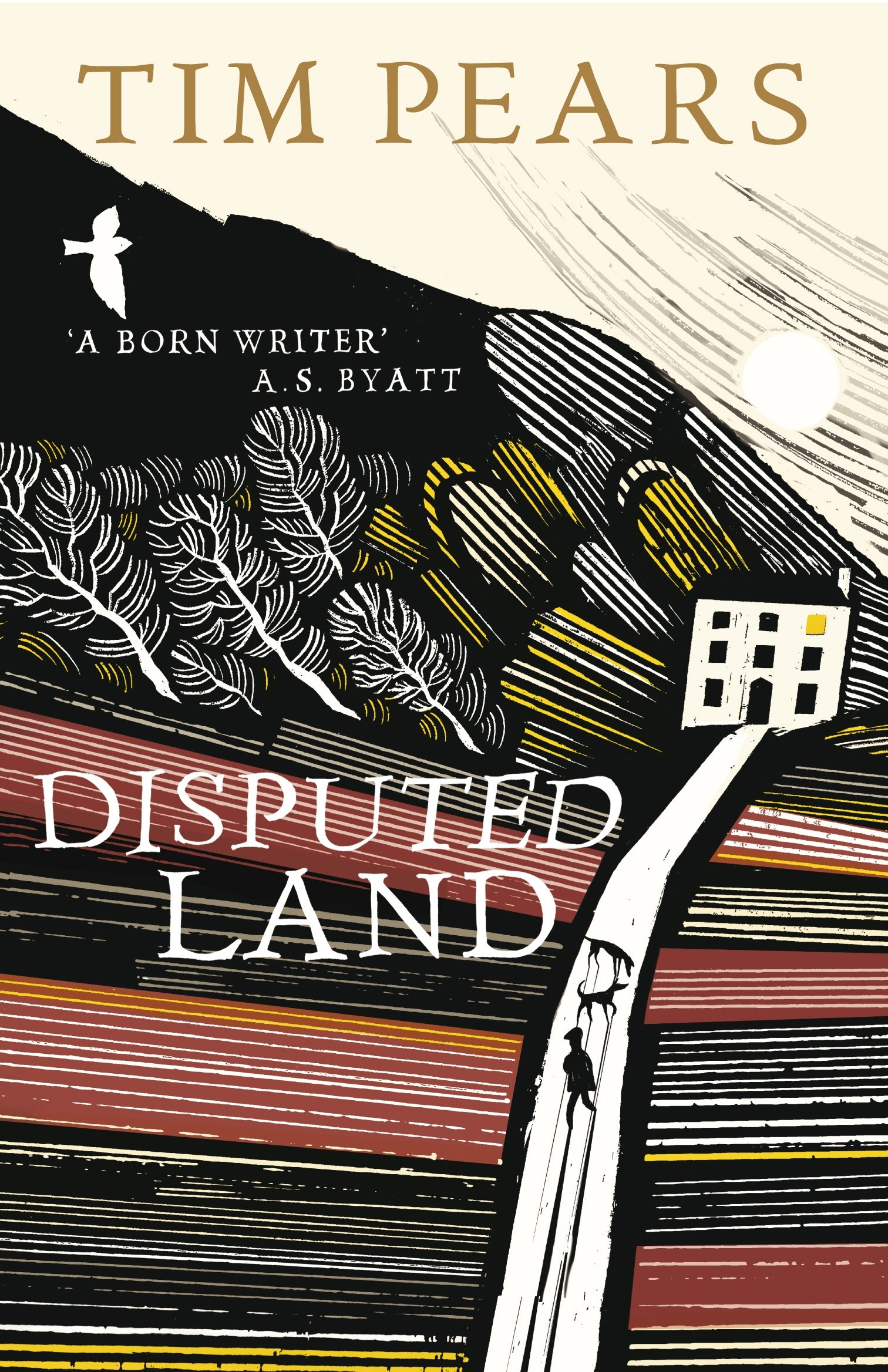 Disputed Land by Tim Pears (Paperback Book)