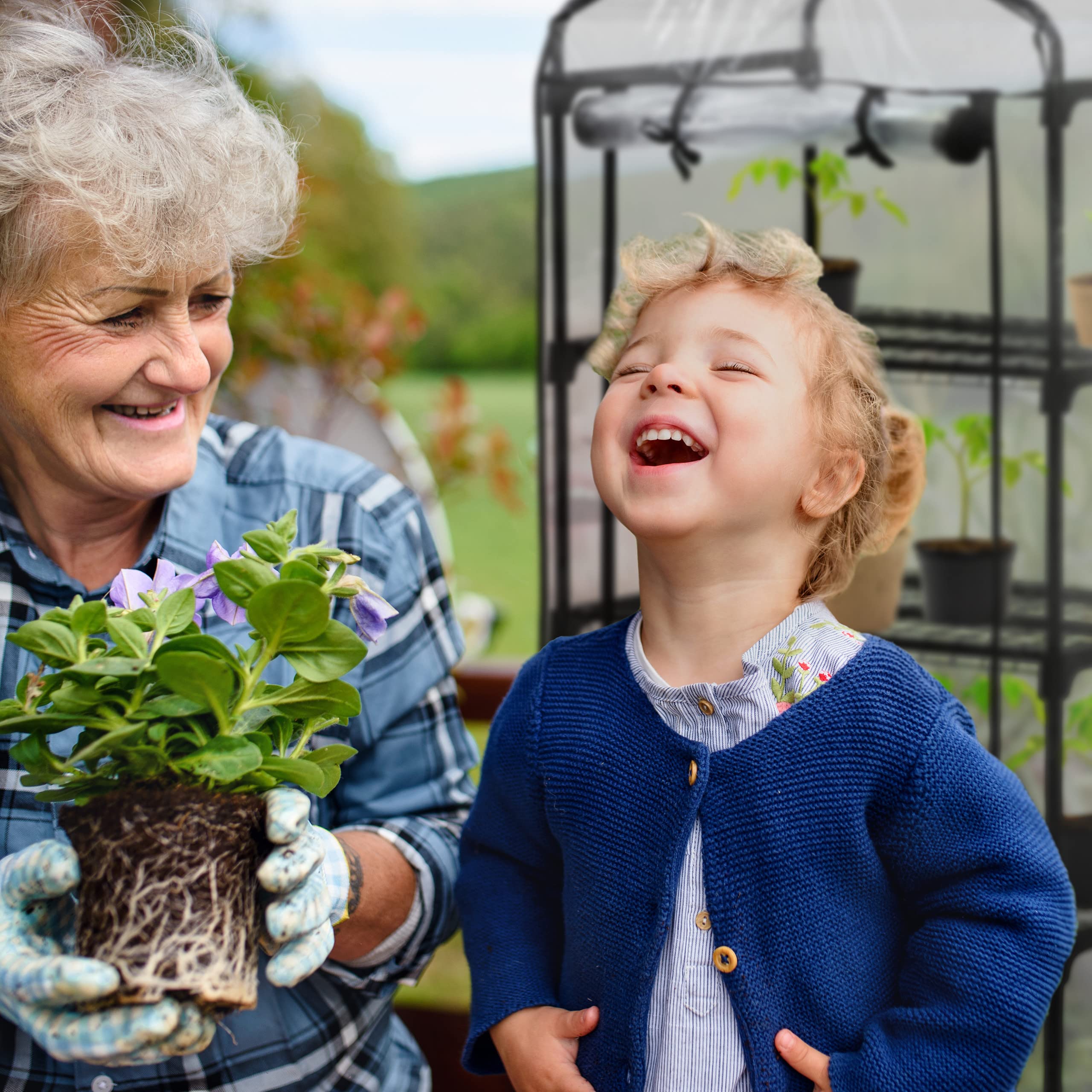 Invernadero Balcón Relaxdays 94x69x49 Cm - Estantería 2 Niveles Con Cubierta PVC Transparente