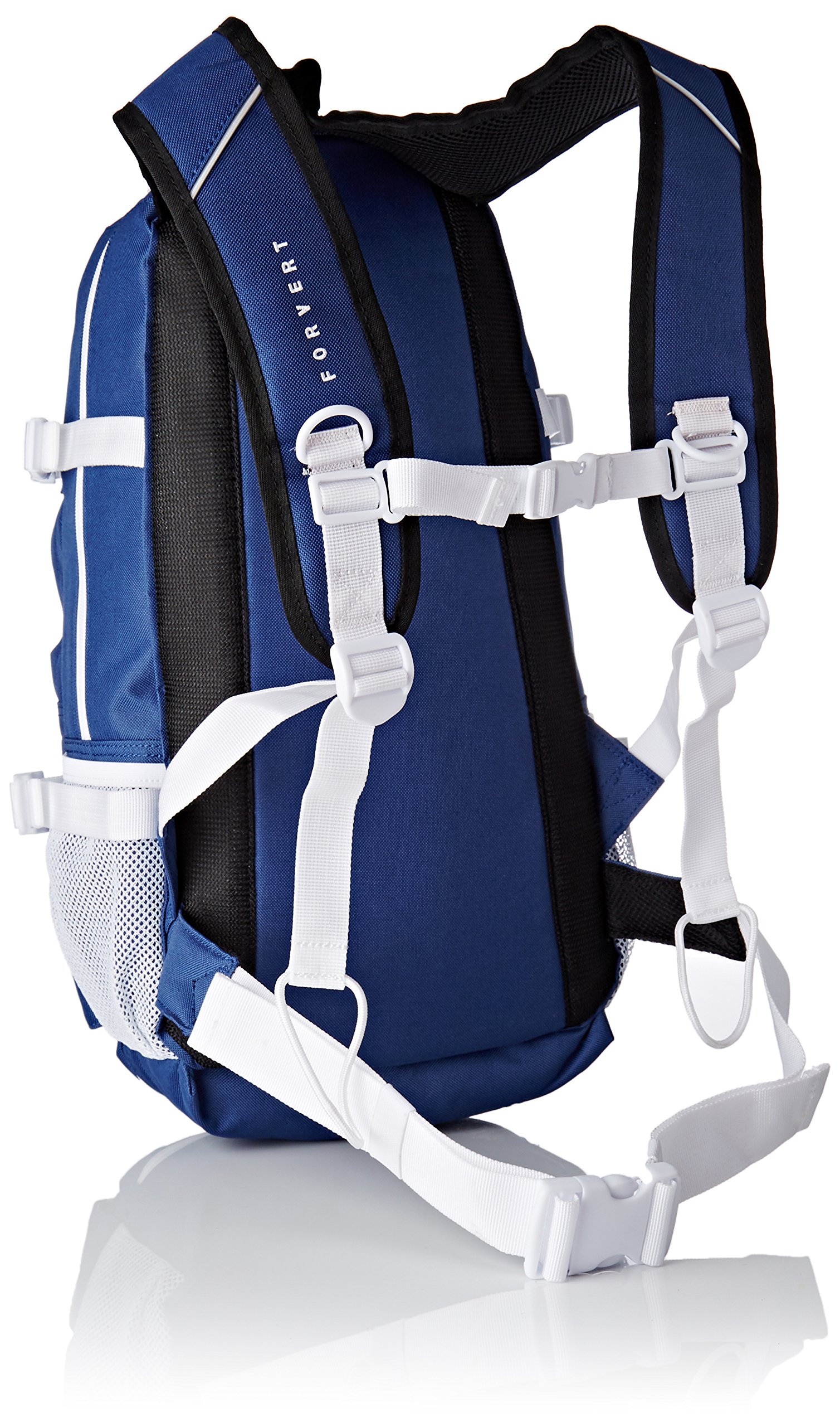 Forvert Ice Louis 25 L