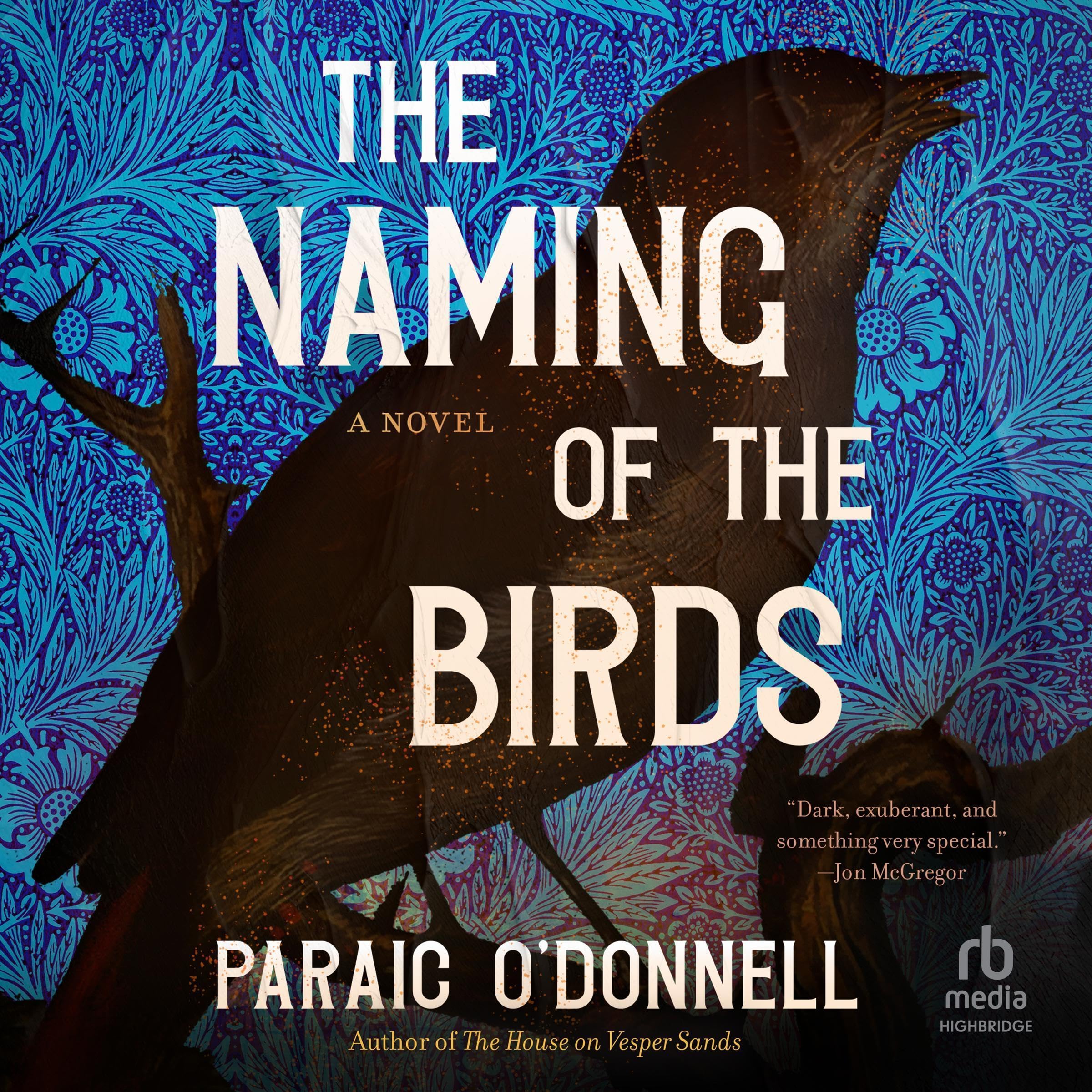 Cover art for The Naming of the Birds
