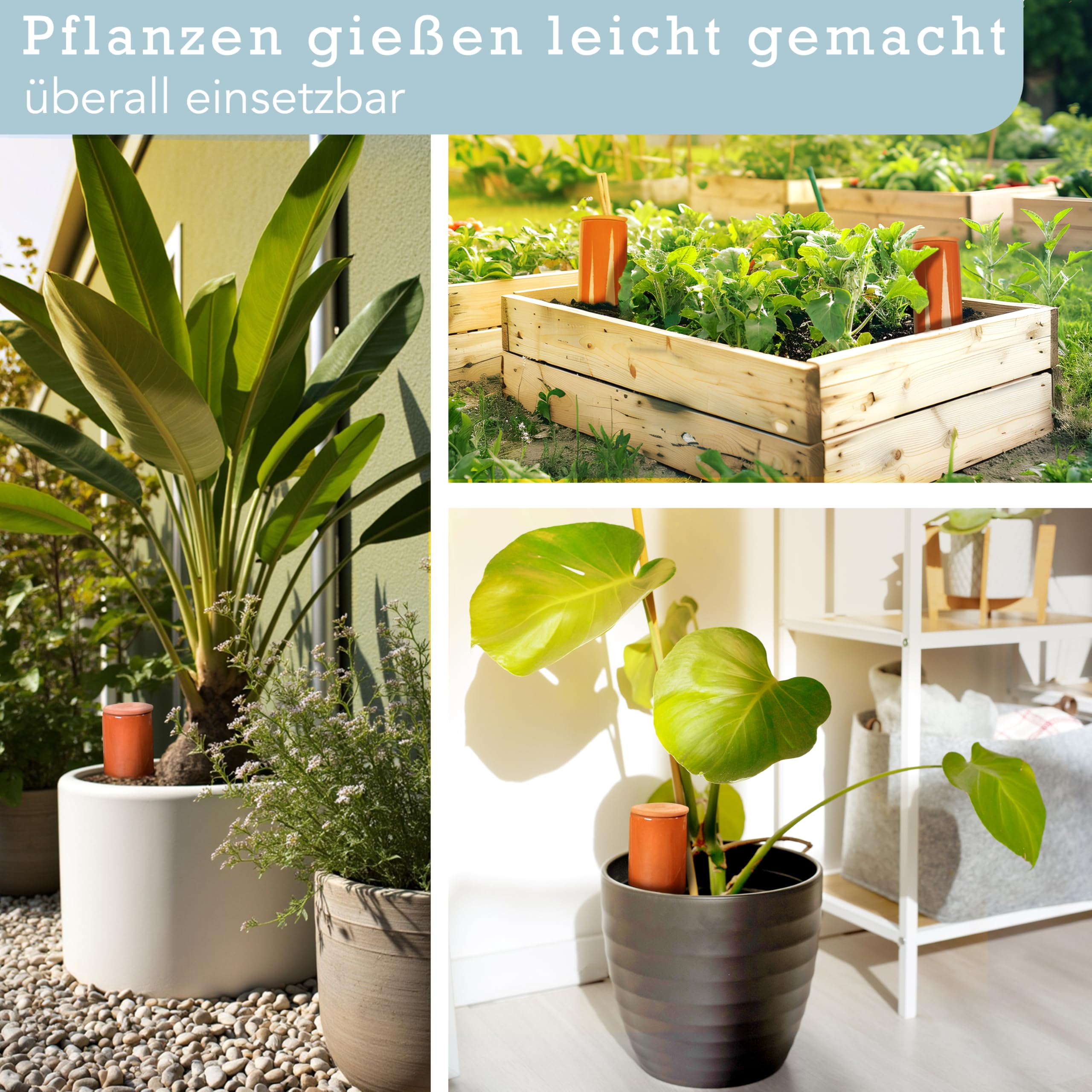Terracotta Gießhilfe (3X 330 ml) handgefertigt für Bewässerung Zimmerpflanzen | Wasserstandsanzeiger Pflanzen | Watering can | Gießkanne Zimmerpflanzen