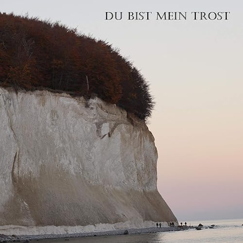 Du Bist Mein Trost By Dennis Boxhorn On Amazon Music Amazon Com