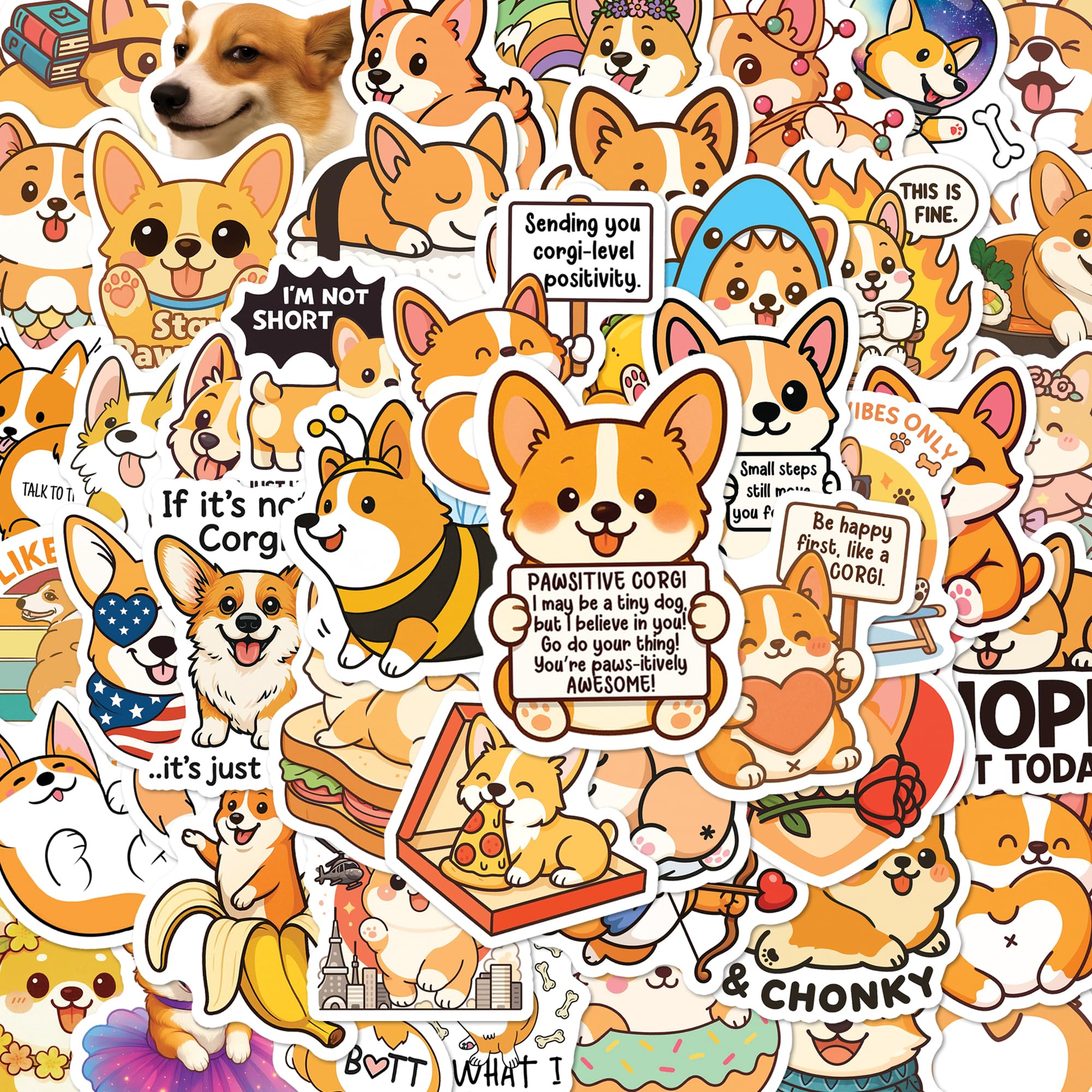 BEATRI Positive Corgi Stickers 50Pcs Pets Dog Corgi Waterproof Vinyl Decor