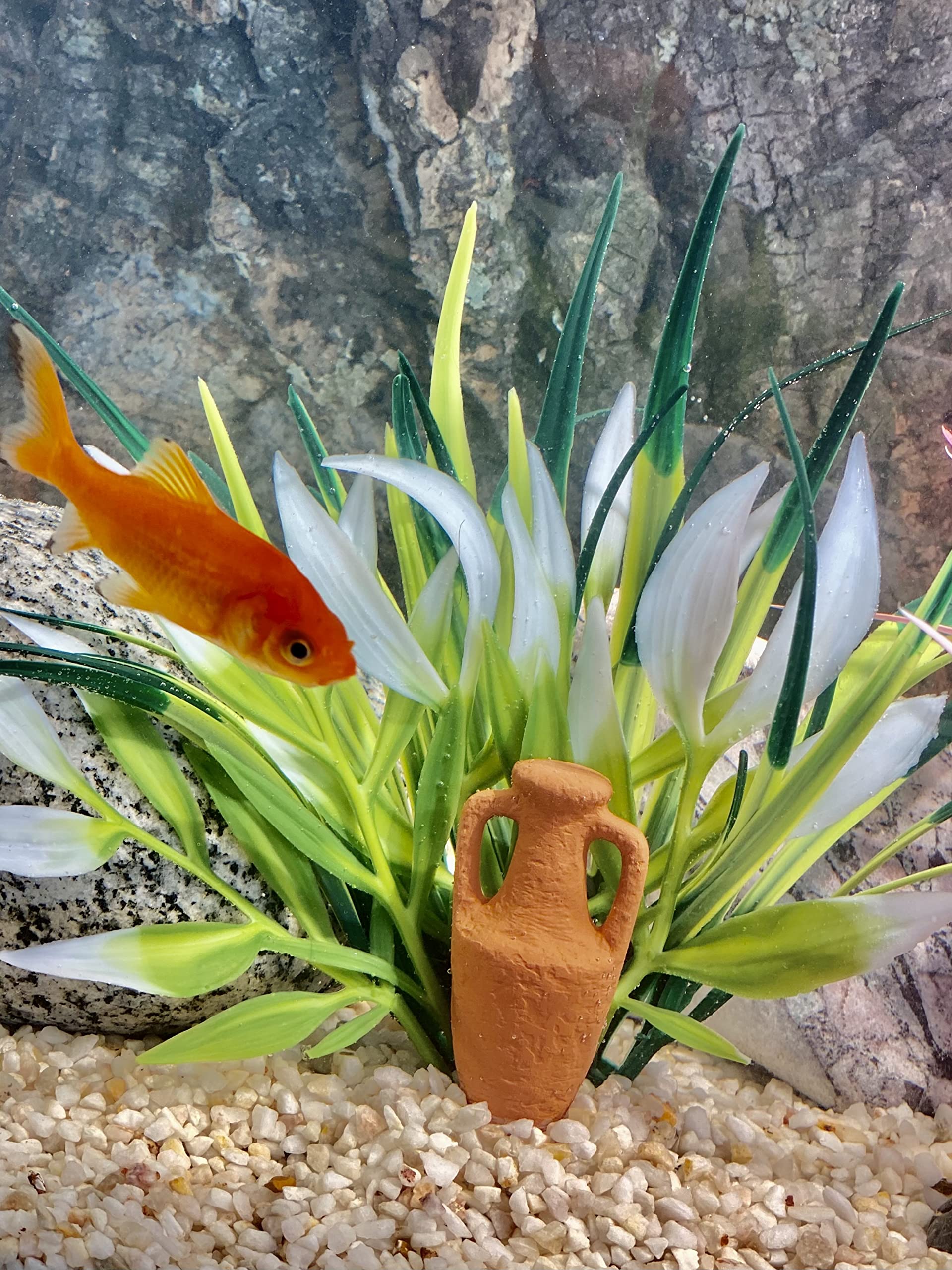 Tyrol, Plante d'Aquarium et Décoration Amphore, Plante d'Intérieur Pour Poisson, Ancrage Facile au fond de l'Aquarium, Entretien Facile, Fabriquée en France