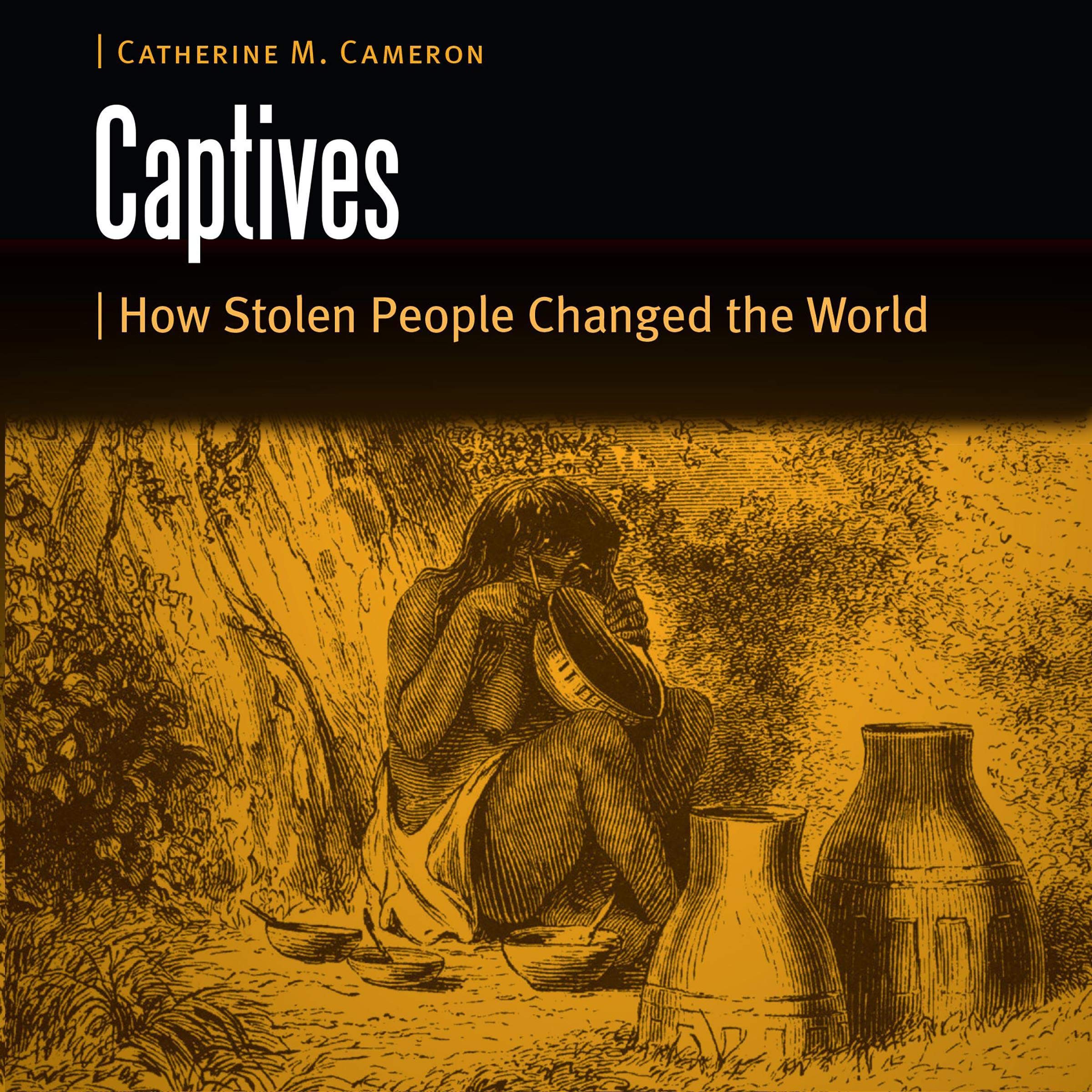 Captives: How Stolen People Changed the World (Borderlands and Transcultural Studies)