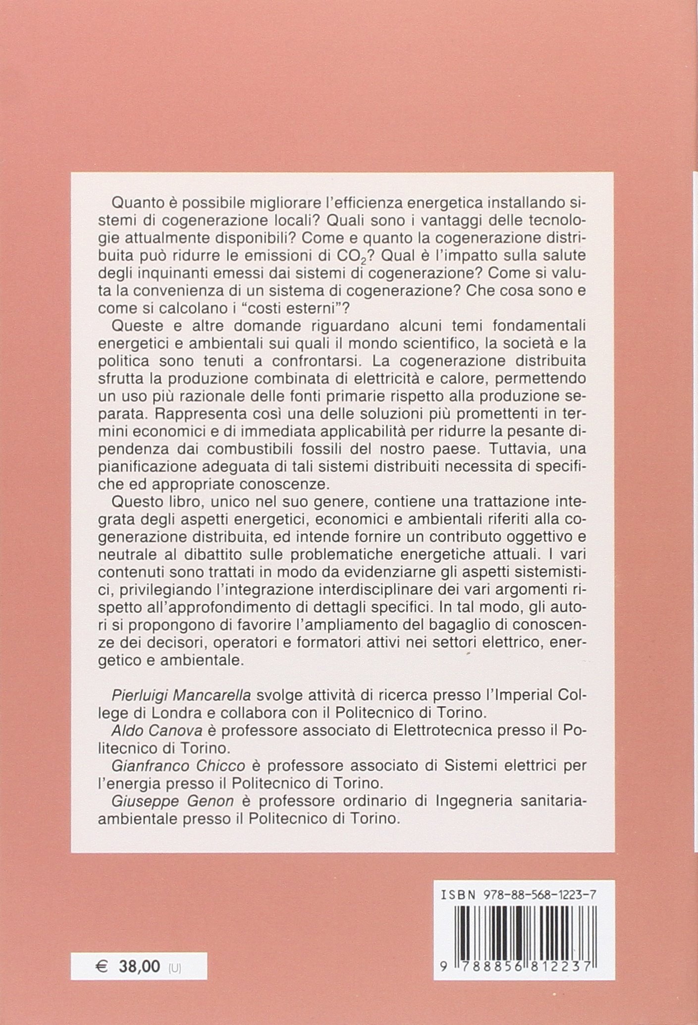 Cogenerazione distribuita a gas naturale. Modelli e tecniche per valutazioni energetiche, ambientali ed economiche