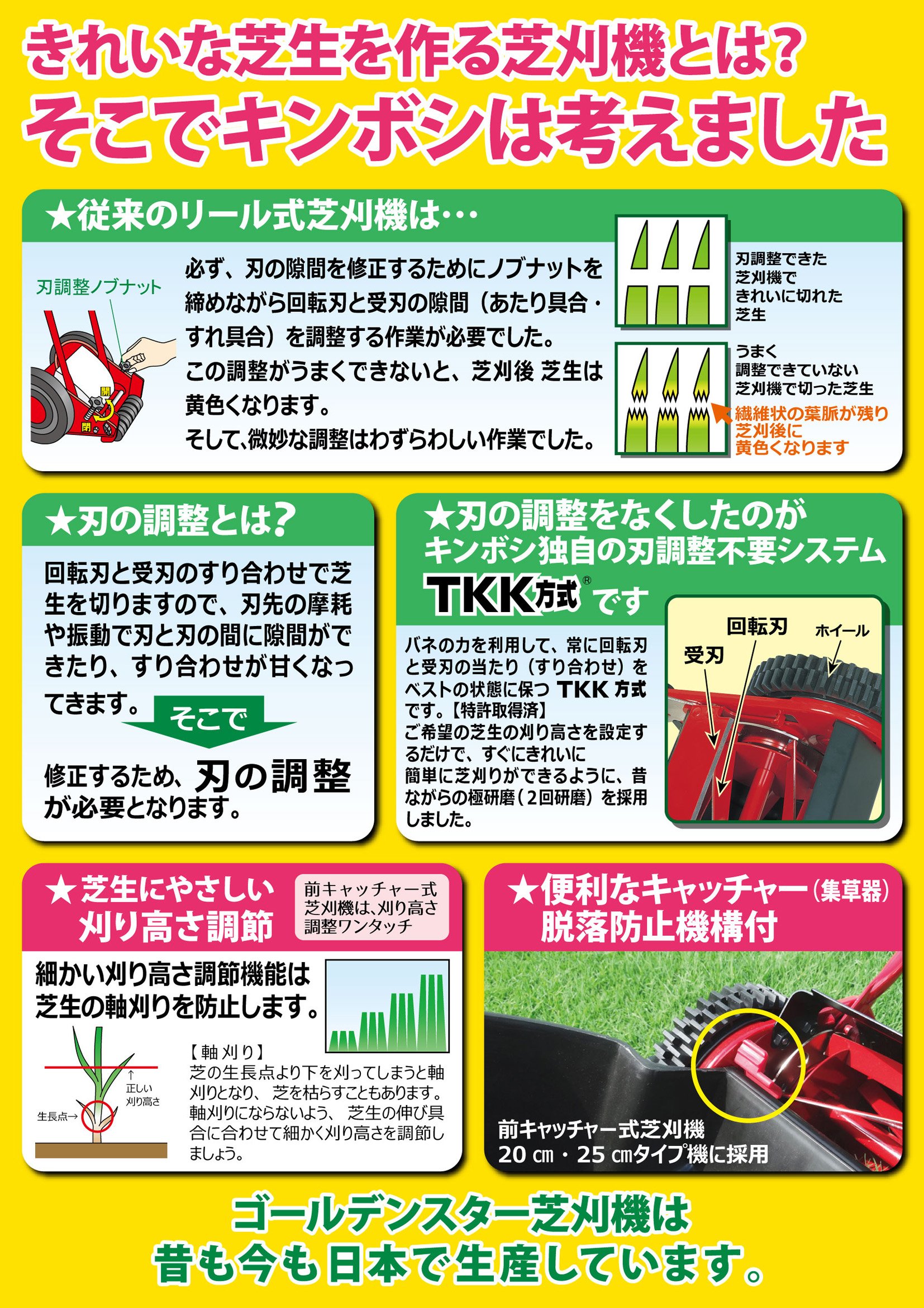Amazon.co.jp: キンボシ(Kinboshi) ゴールデンスター 「安心・安全