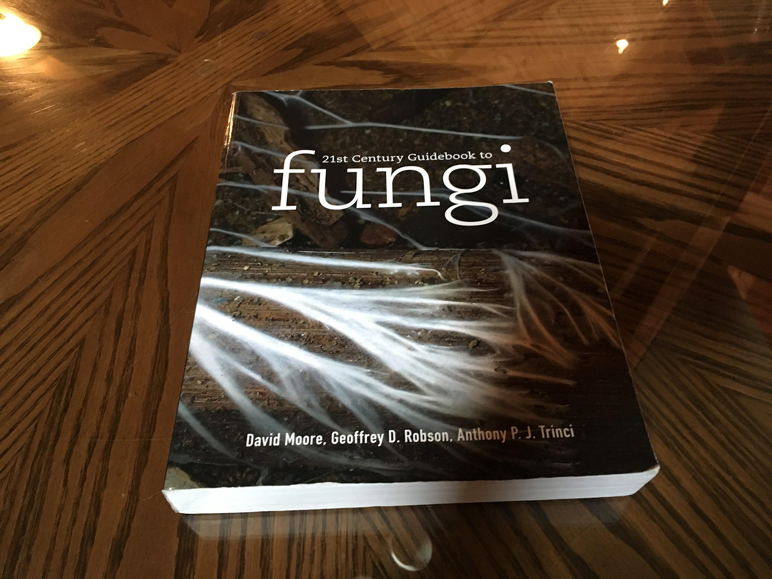 21st Century Guidebook to Fungi with CD-ROM 1st Edition