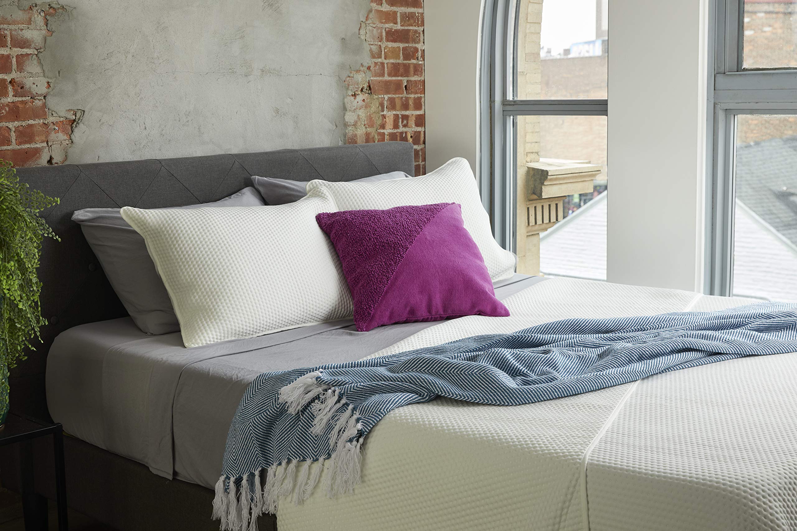 Amazon.com: Refinery29 Sloane Bedding 