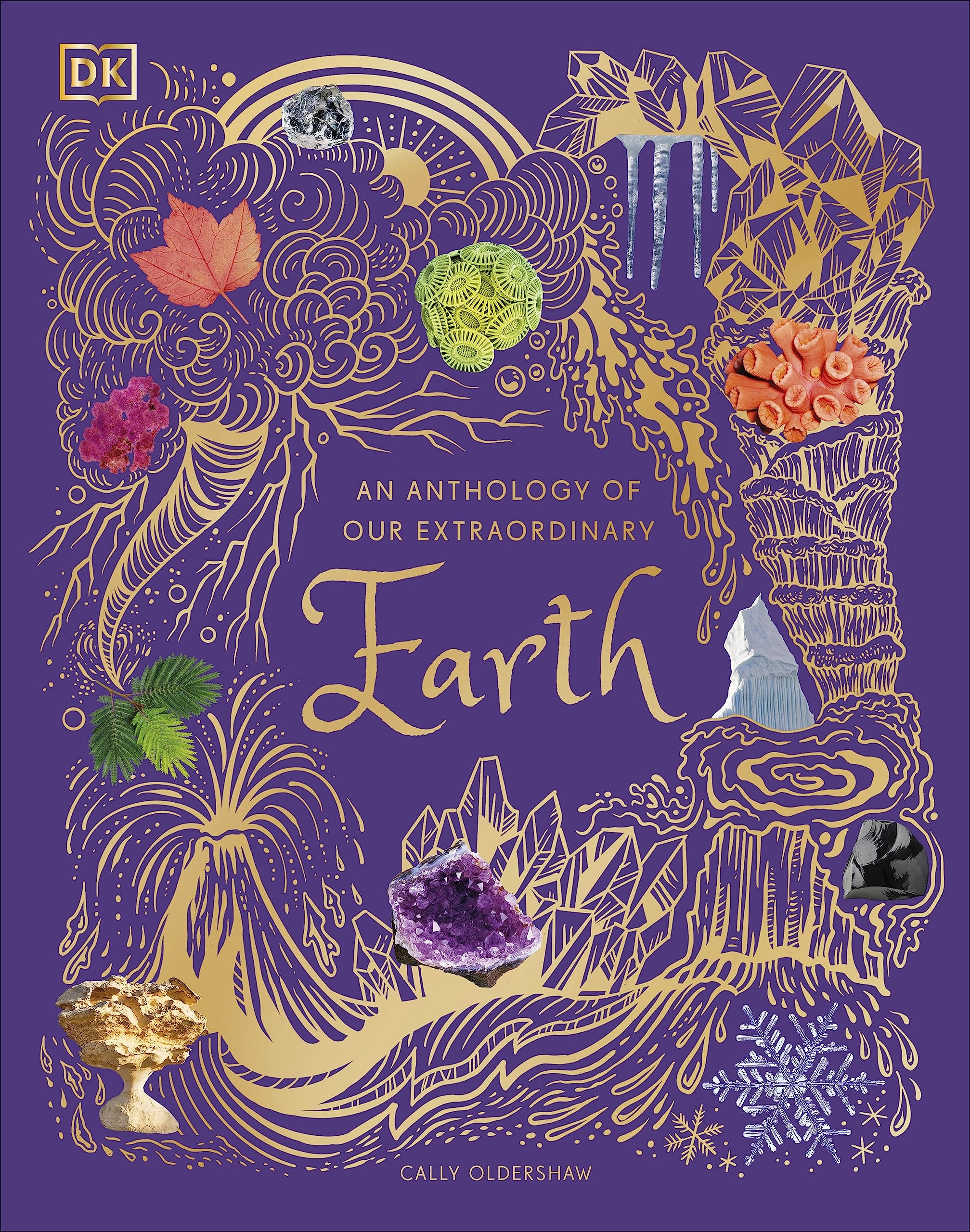 An Anthology of Our Extraordinary Earth: Discover the Awe-Inspiring Wonders of Planet Earth (DK Children's Anthologies)