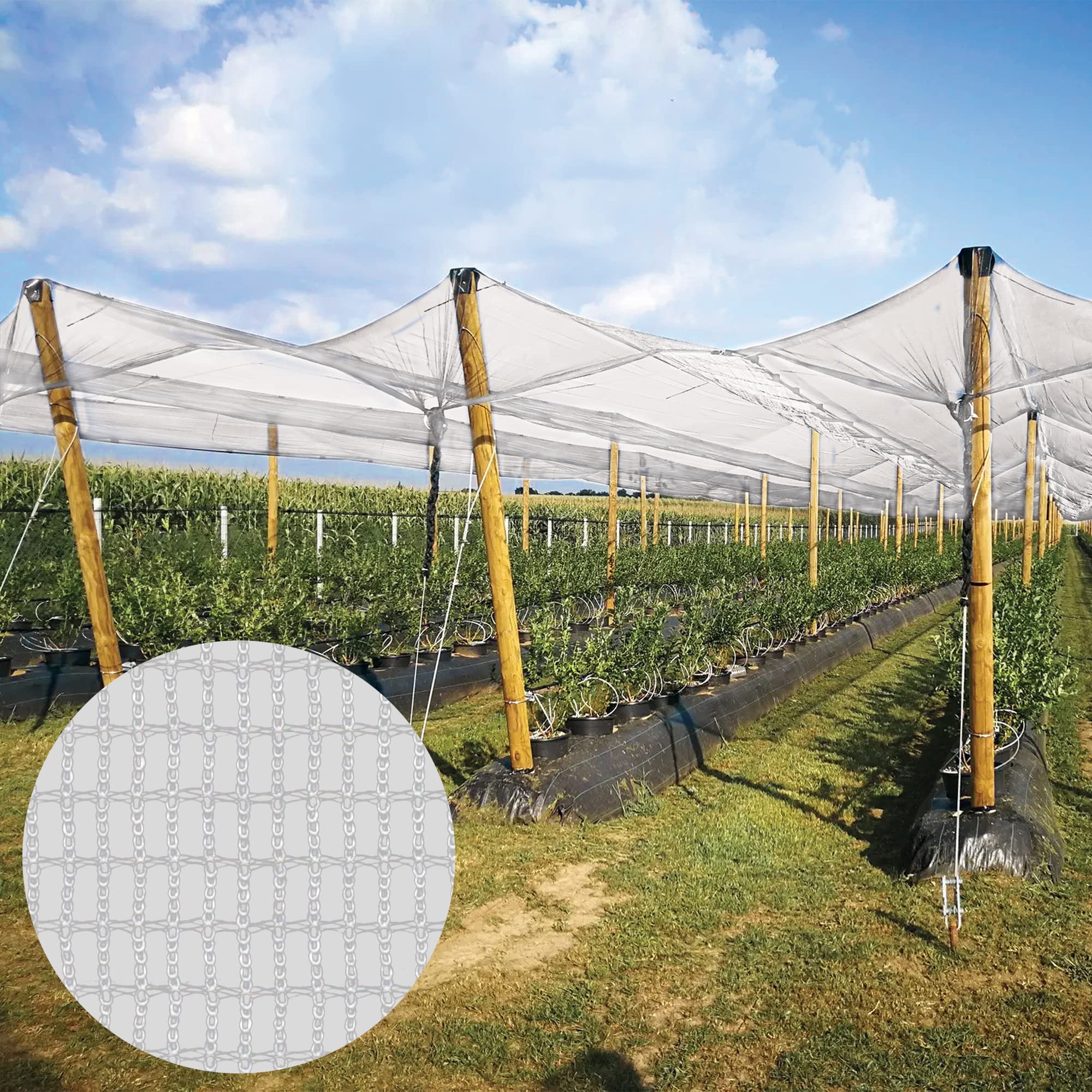 HIPPO Hail Net - Plant & Crop Protection Net Complete Protection from Hail & Bird - Pigeon Protection Net for Balcony (6MX10M, Natural) (B0BWNHMSBN) Amazon Price History, Amazon Price Tracker