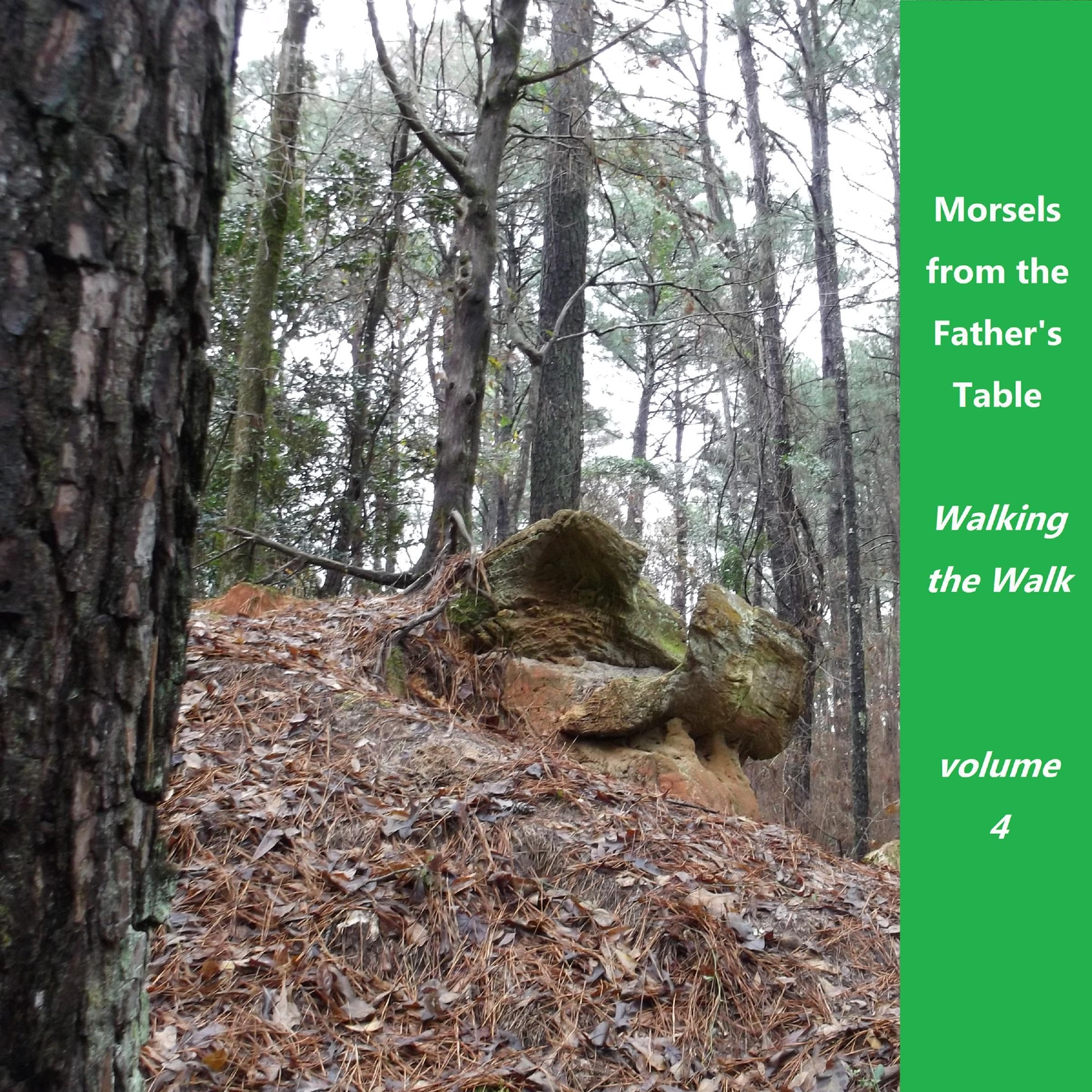 Morsels from the Father's Table, Volume 4